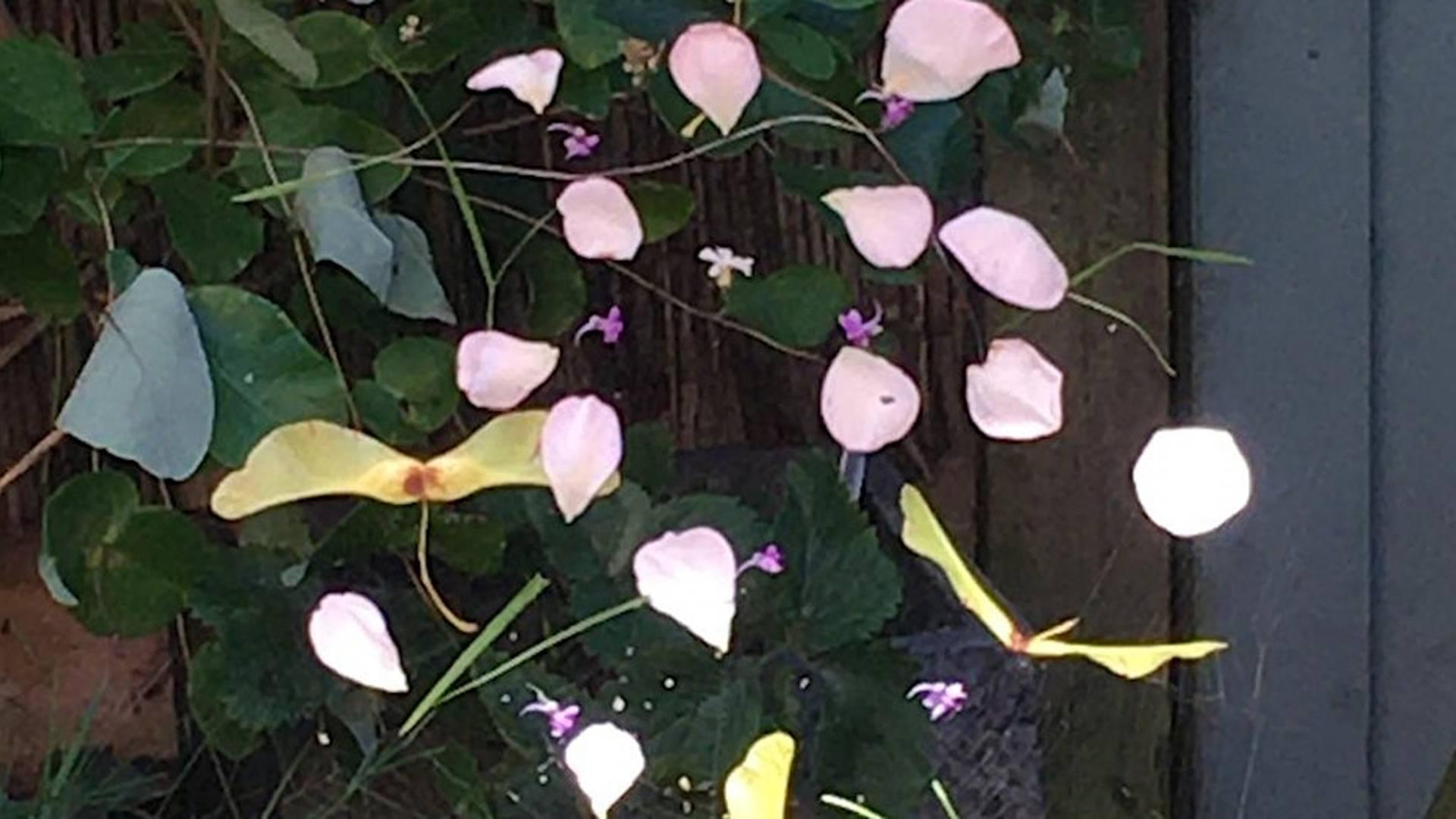 Reconnect! - Witch Workshop - Creative Spellmaking - Dreams and Charms photo