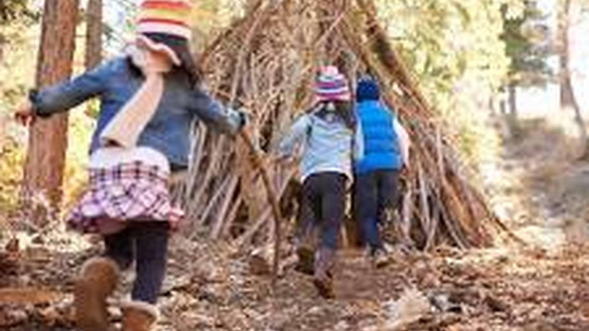 Into the Wild! - A Halloween Bushcraft Experience photo