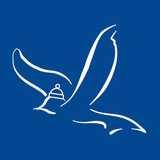 Flying High Expressive Arts CIC logo