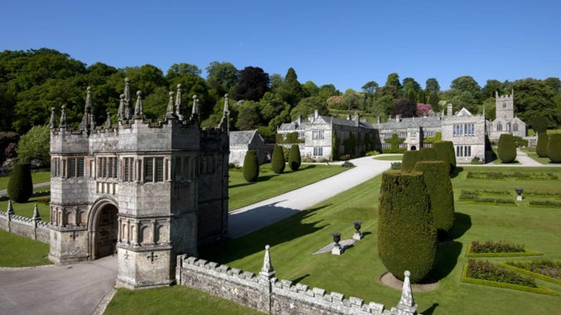 Big Butterfly Count At Lanhydrock photo