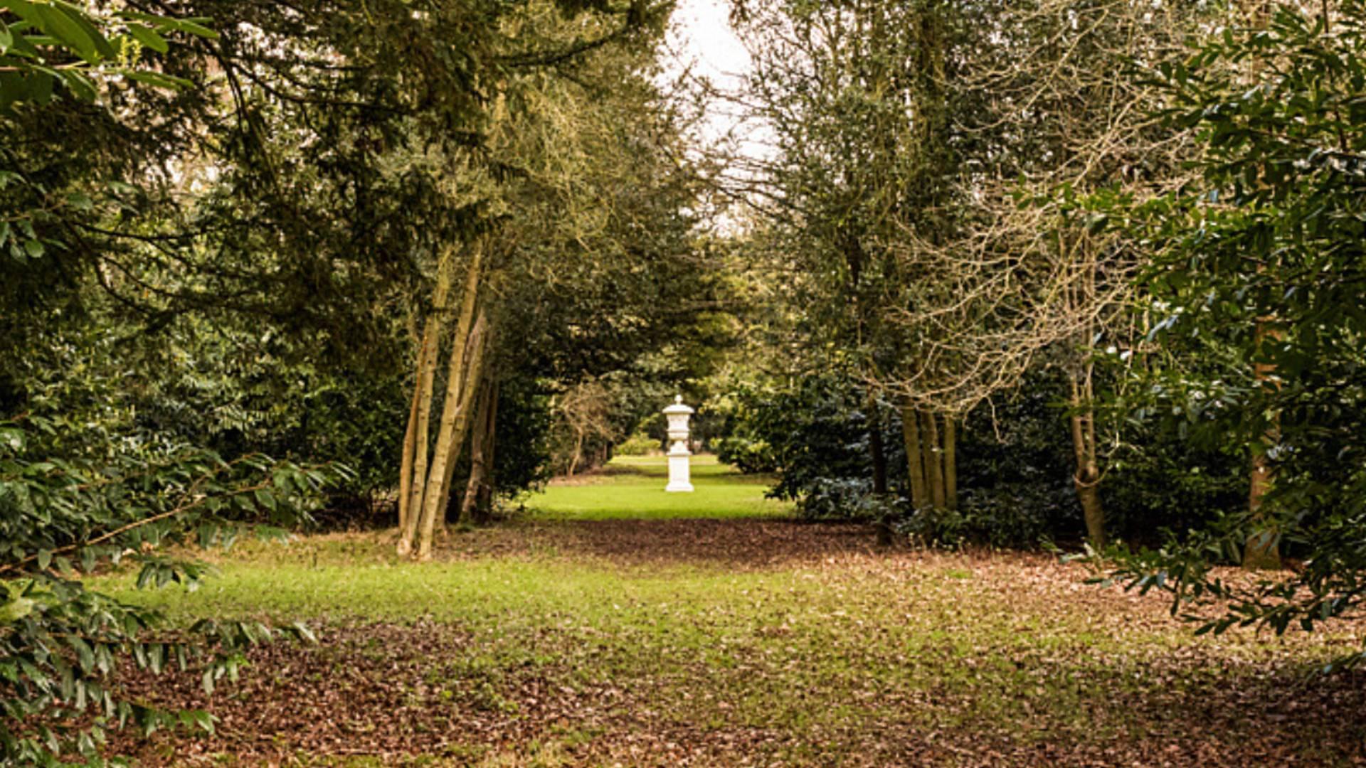 Wrest Park Forest Bathing 2024 photo