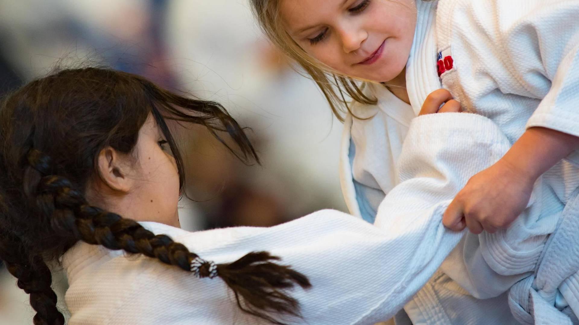 Felixstowe Judo Club photo