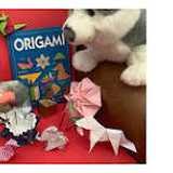 Activity image
