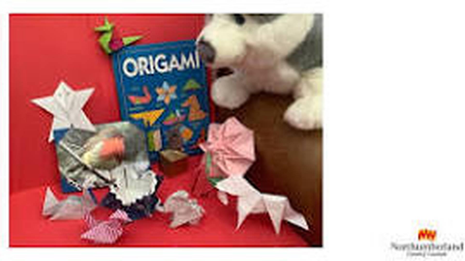 Ponteland Library - Marvellous Makers Origami Session for children photo