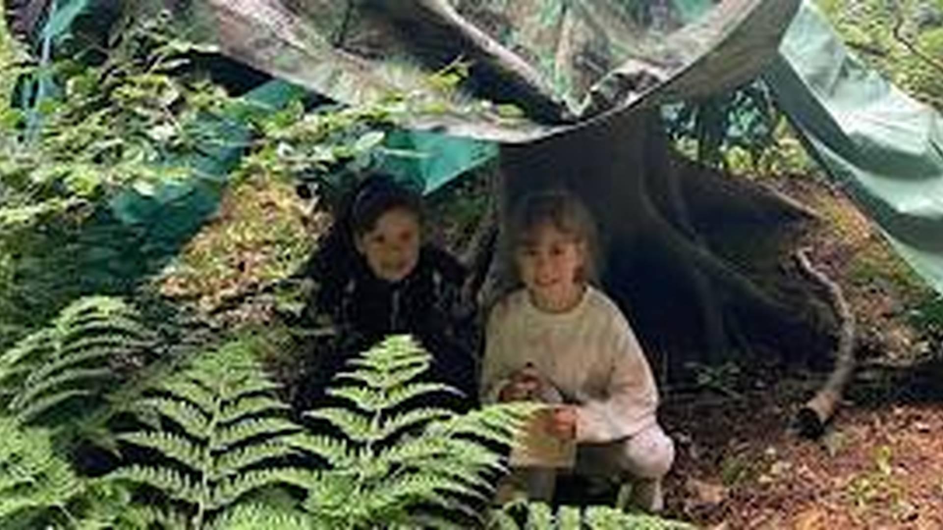 Den building photo