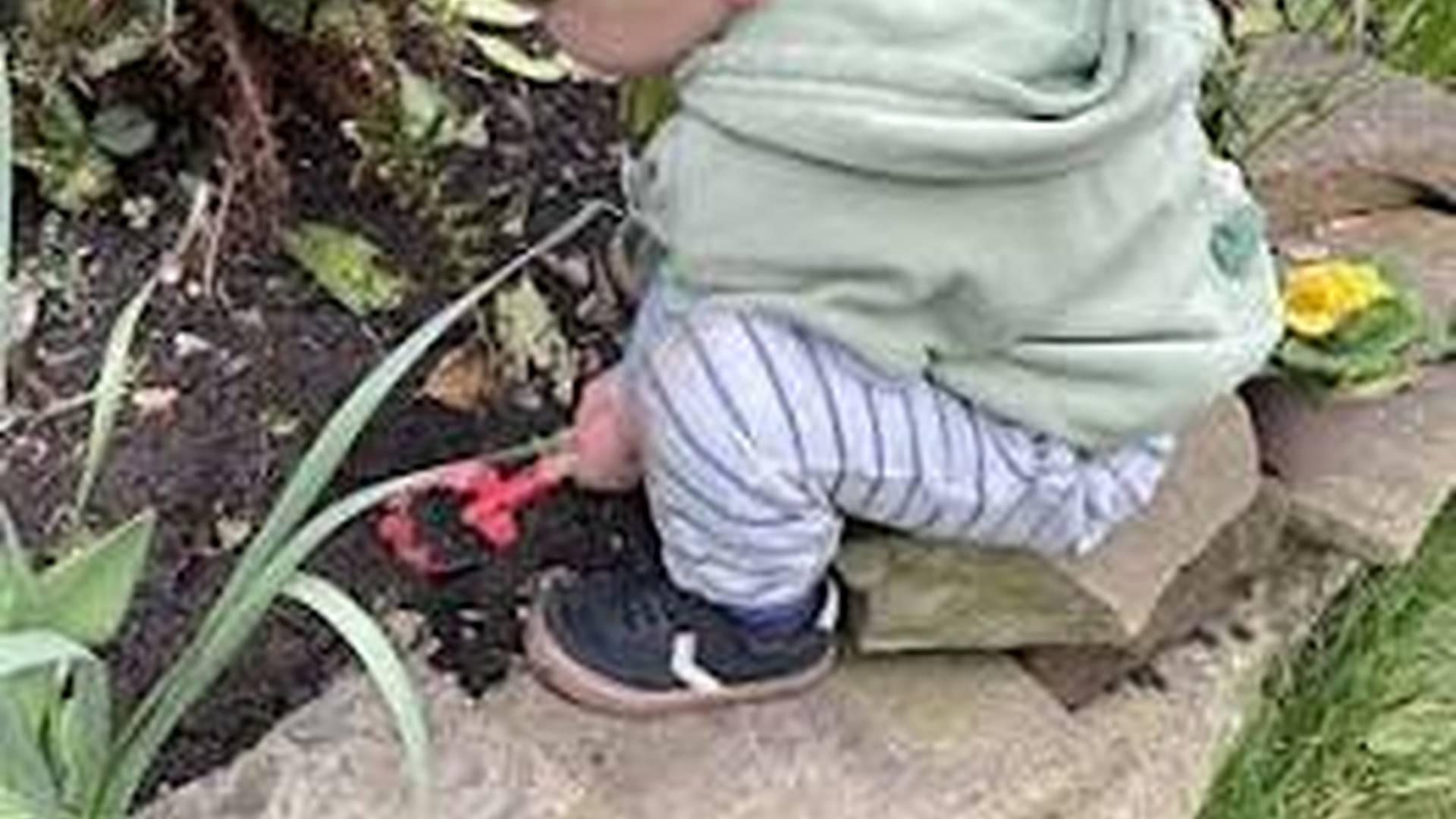 Poetry and Planting for Children: Growing Words, Growing Worlds photo