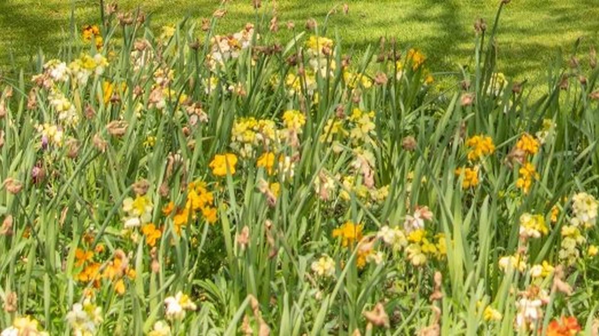 Mini Museum Explorers - Flying into Spring photo