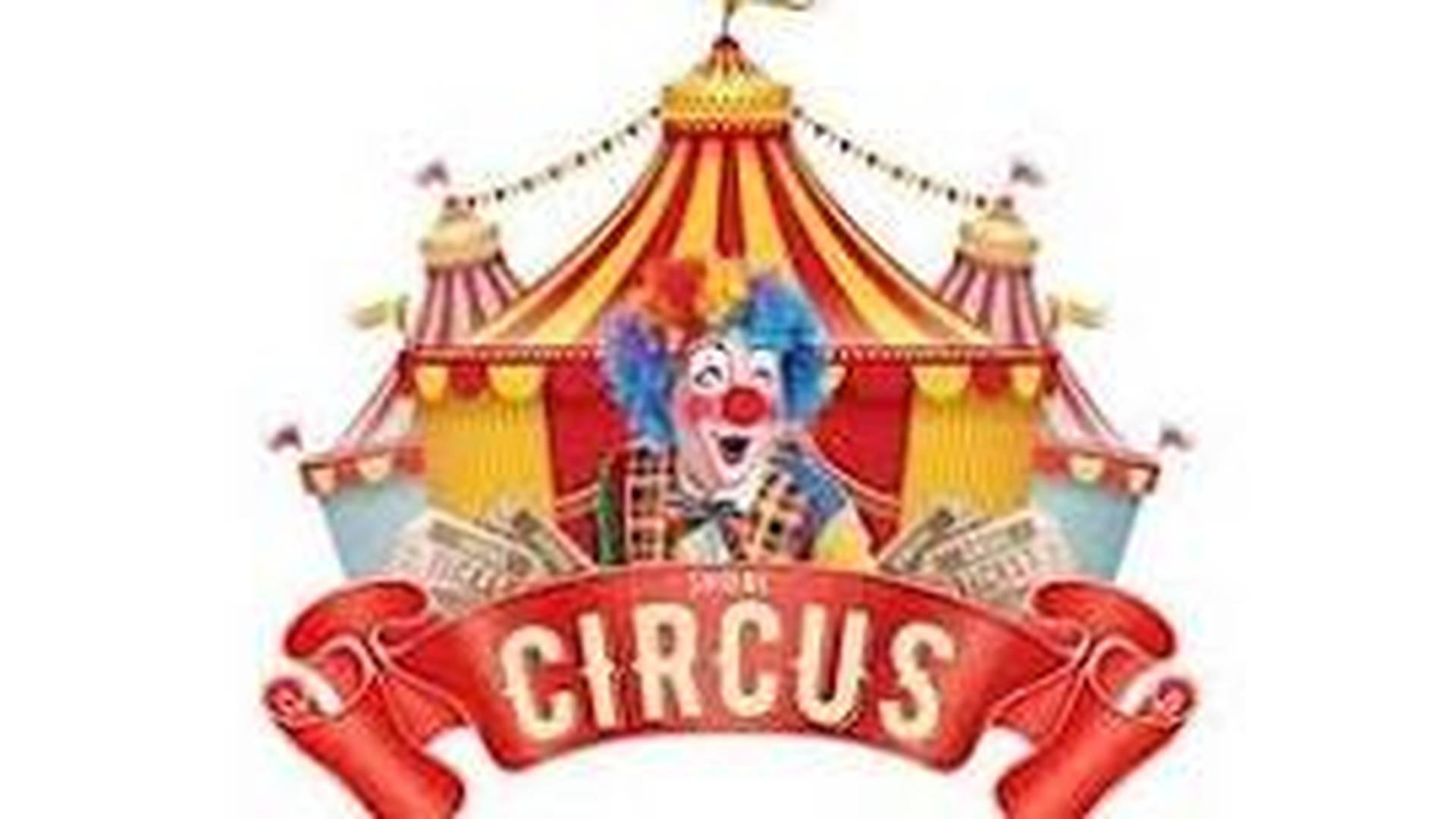 Move More Circus Holiday Programme Mount Pleasant School 12/13/14 August photo