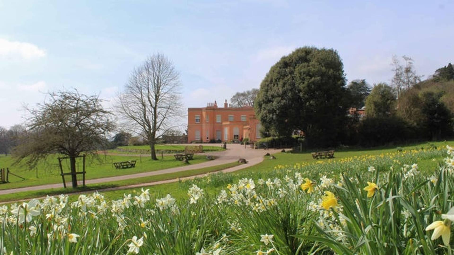 Killerton Springs into Rhyme: Blossom poetry display photo