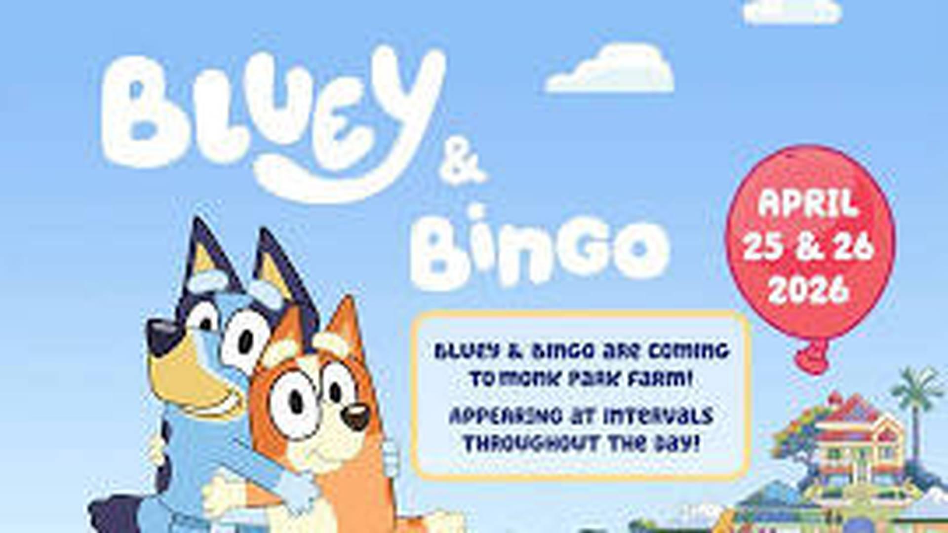 Bluey and Bingo Meet and Greet photo