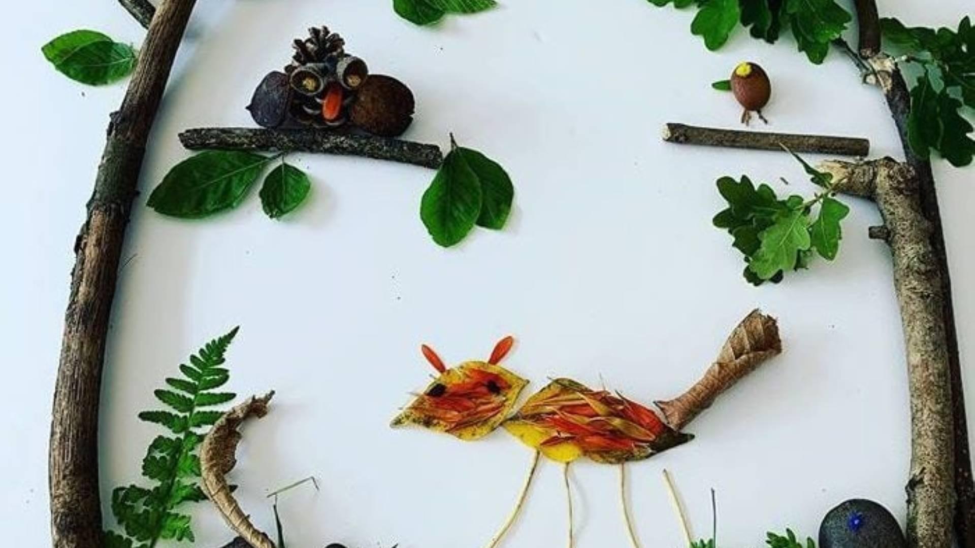 Nature Nonsense at Stockwood Discovery photo