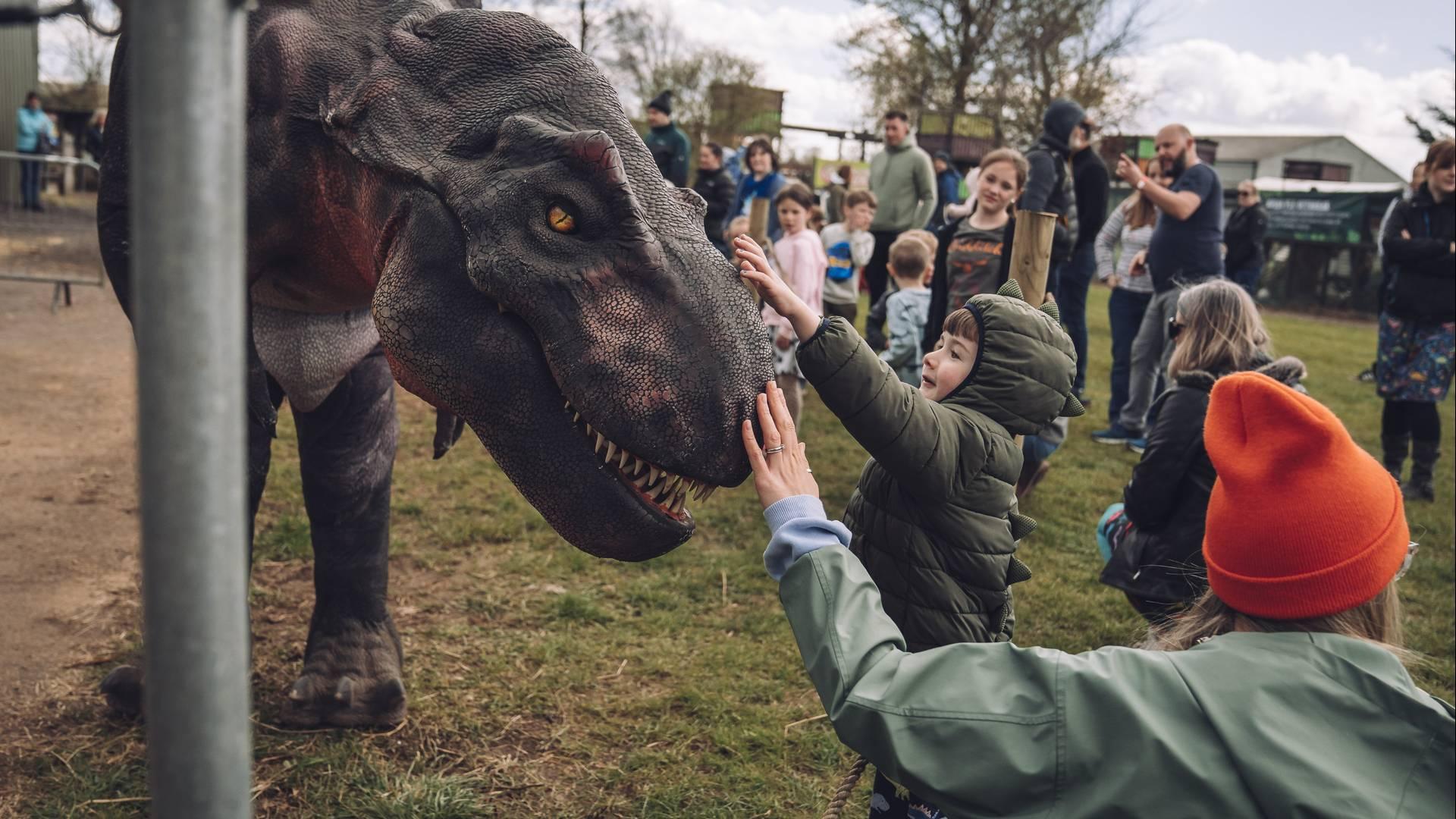 Dinosaur Valley: LIVE! photo