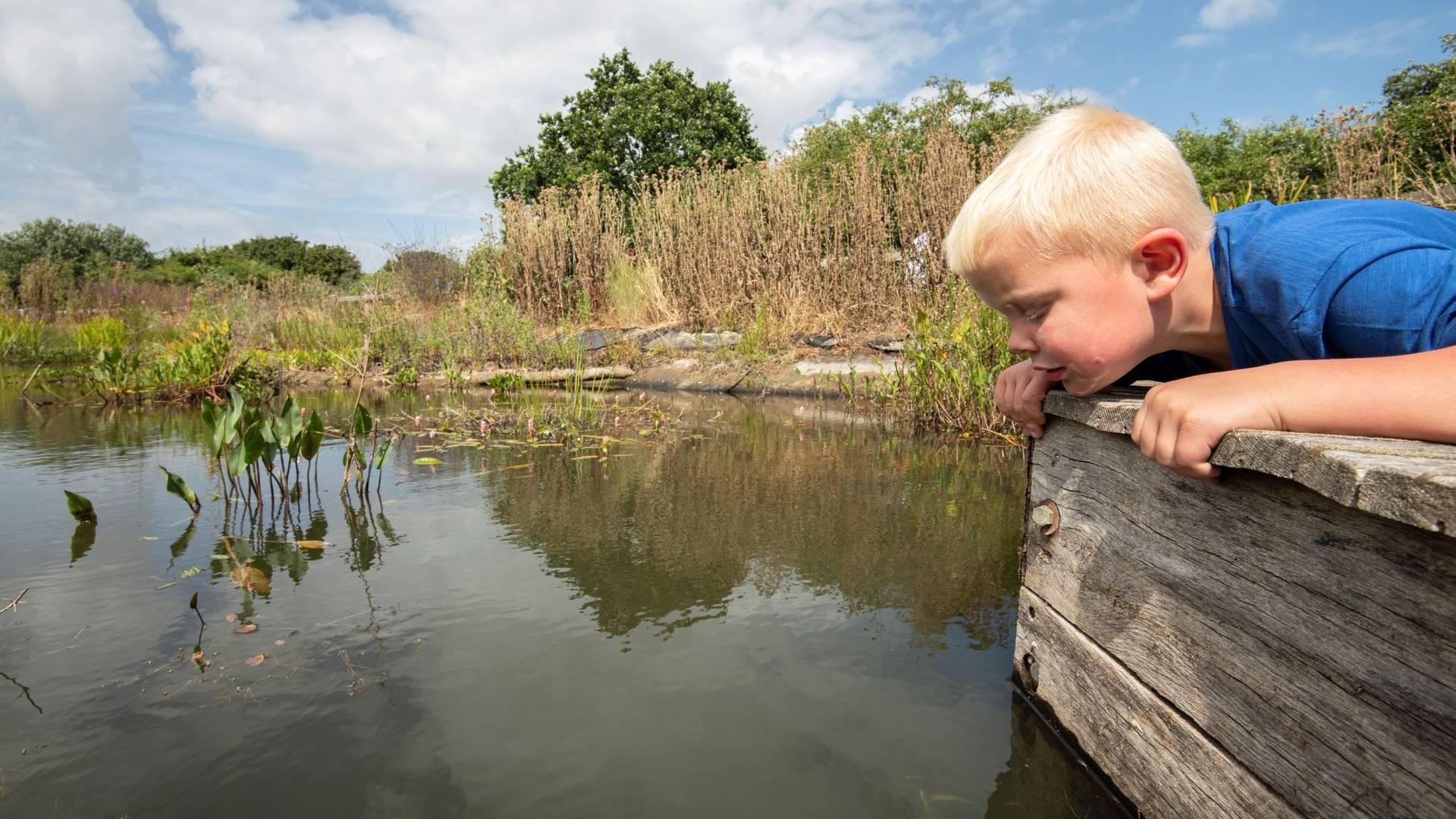 Easter Holiday Pond Dipping photo