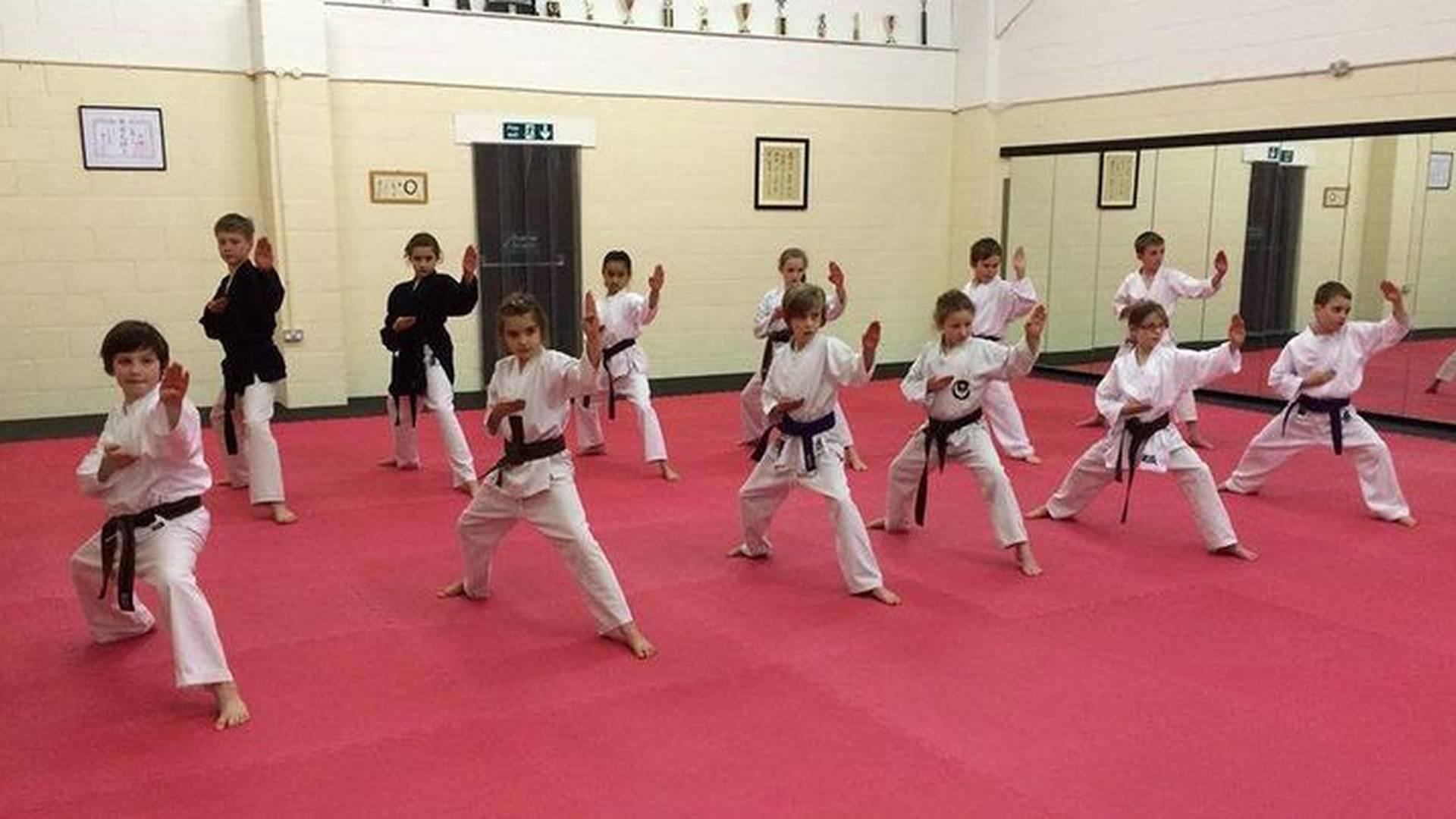 Cadet Martial Arts Class - Monday photo