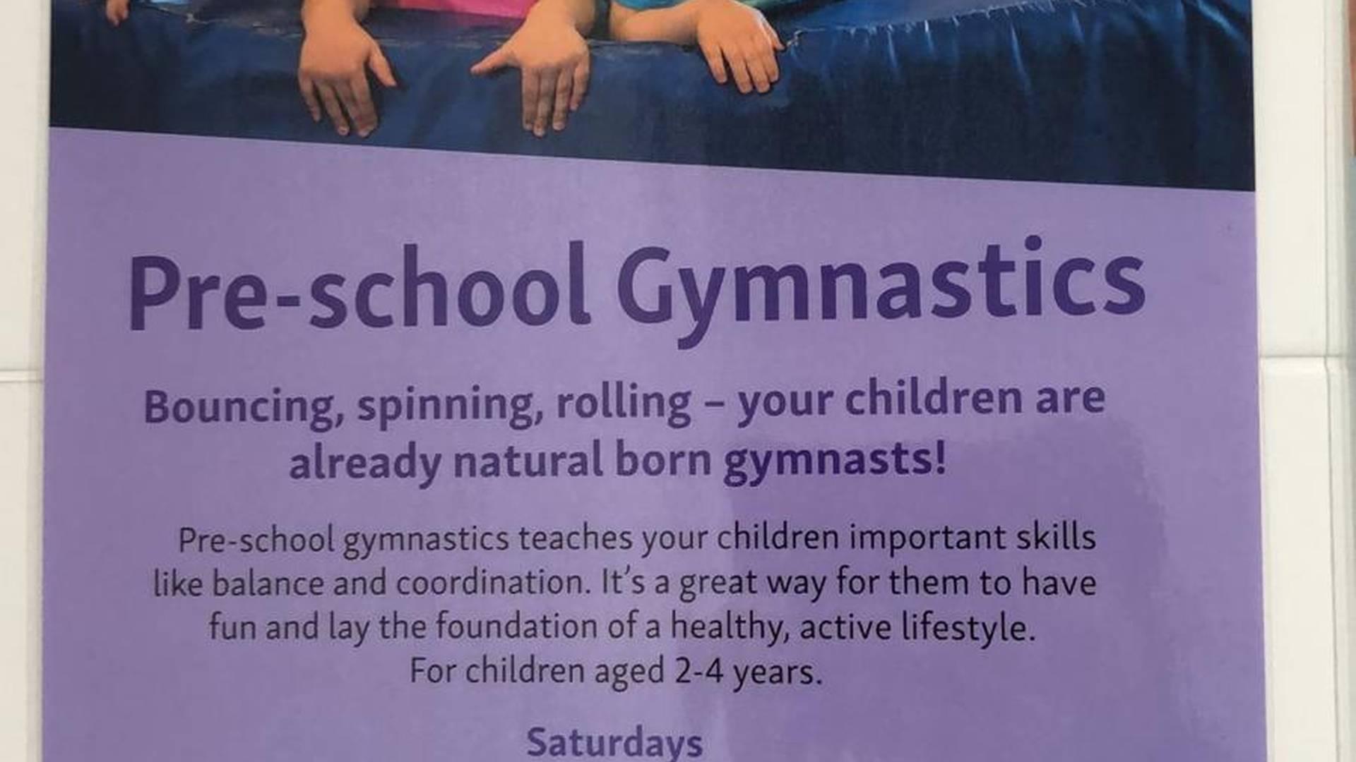 Pre-School Gymnastics- Tedding Sports Centre photo
