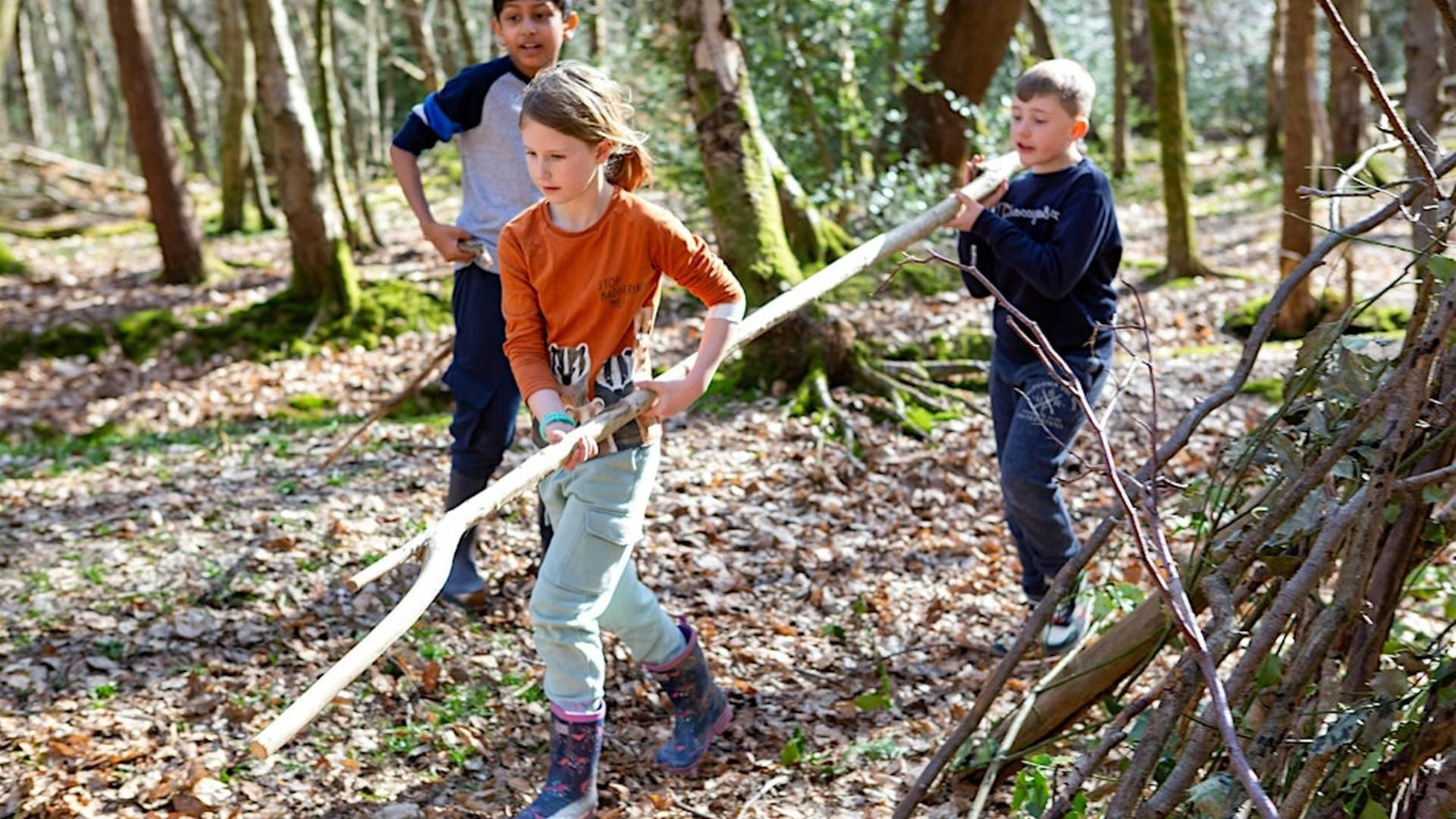 Wild Beach Training: Felpham Beach, Bognor Regis (1002A37045) photo