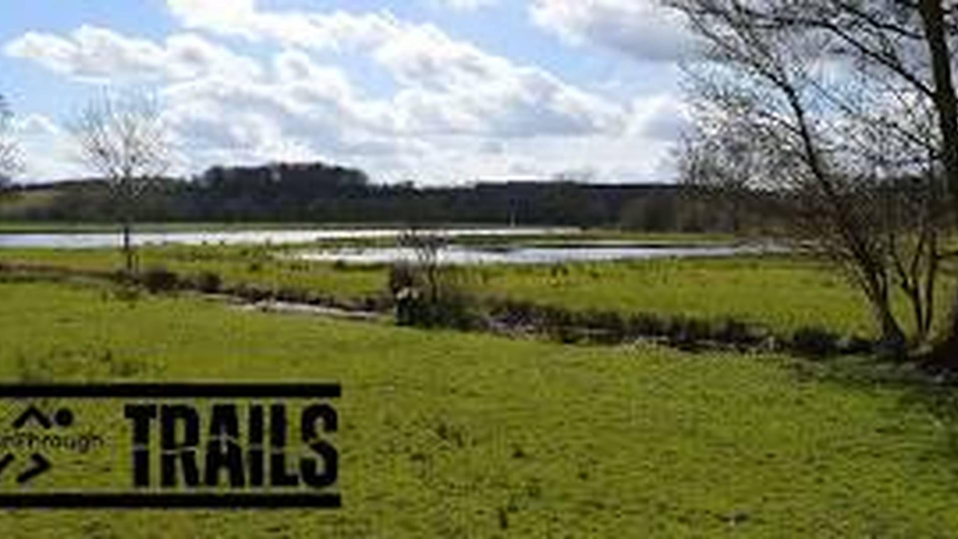 Henley River 10K - September photo