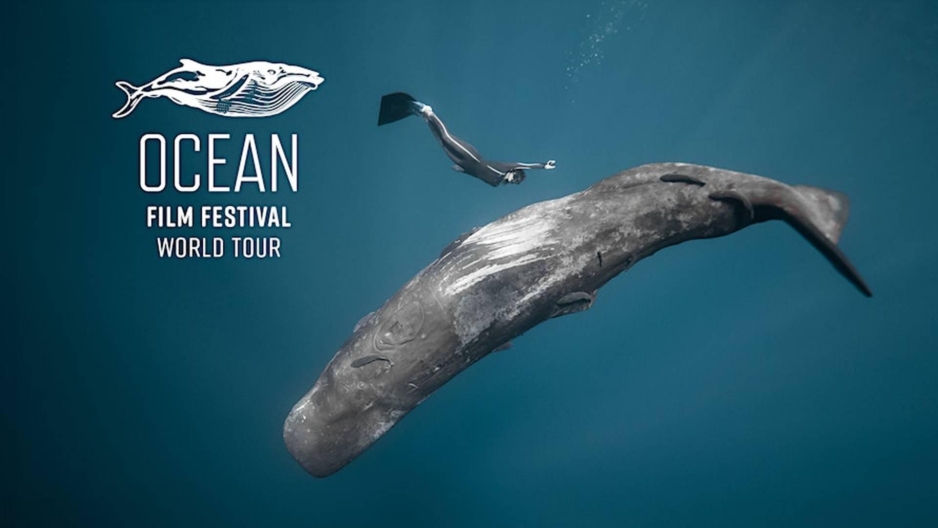Ocean Film Festival - Liverpool - 10 October 2025 photo