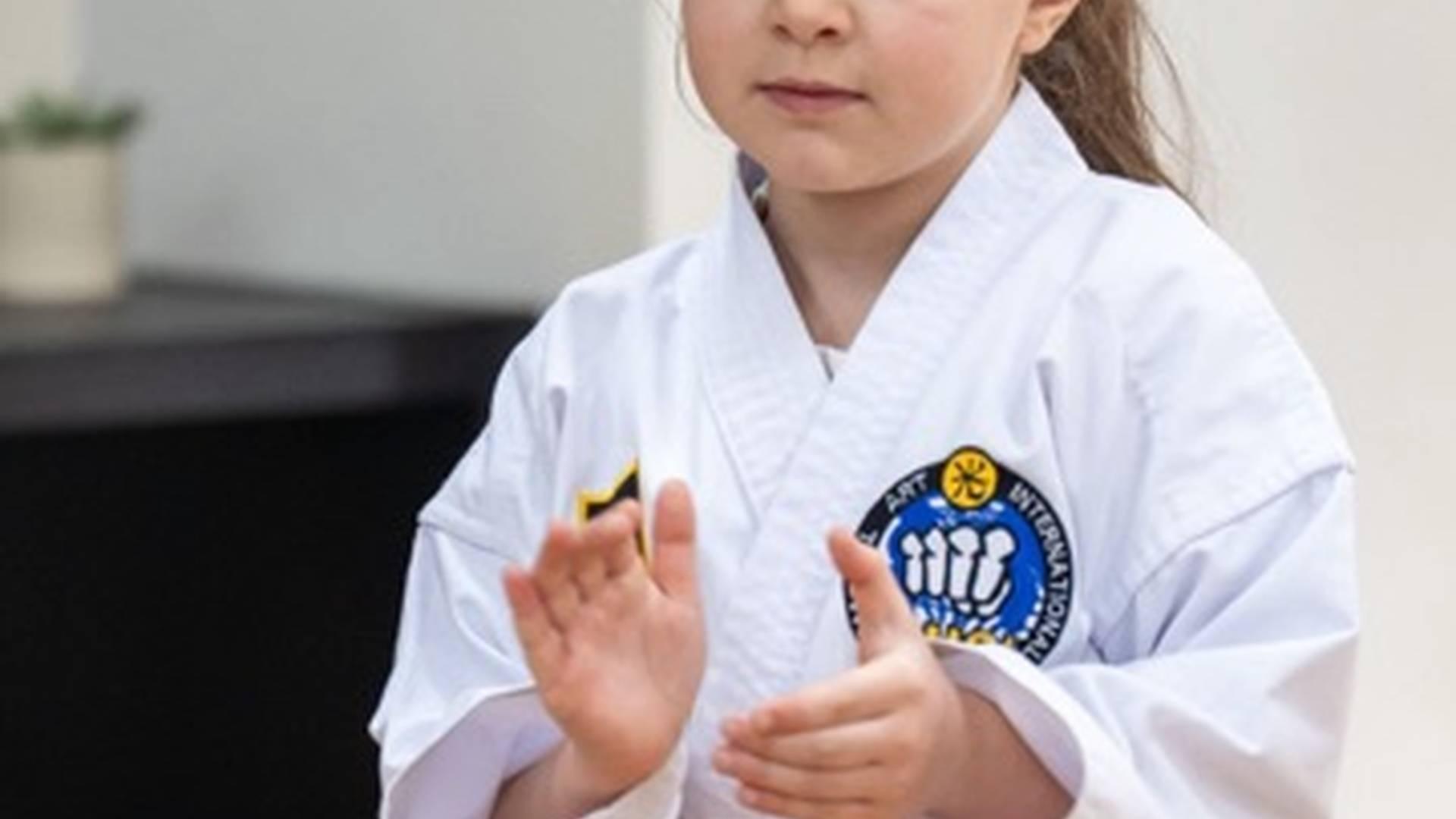 Martial Arts Trial Class photo