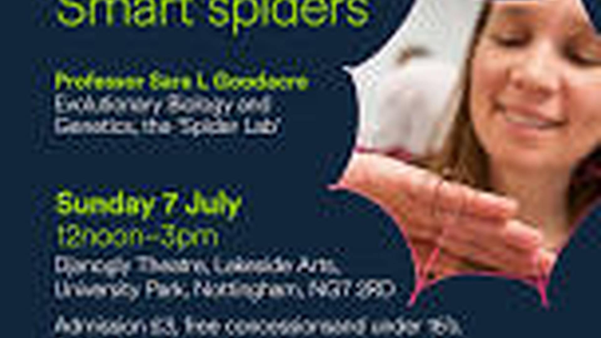 Smart spiders photo