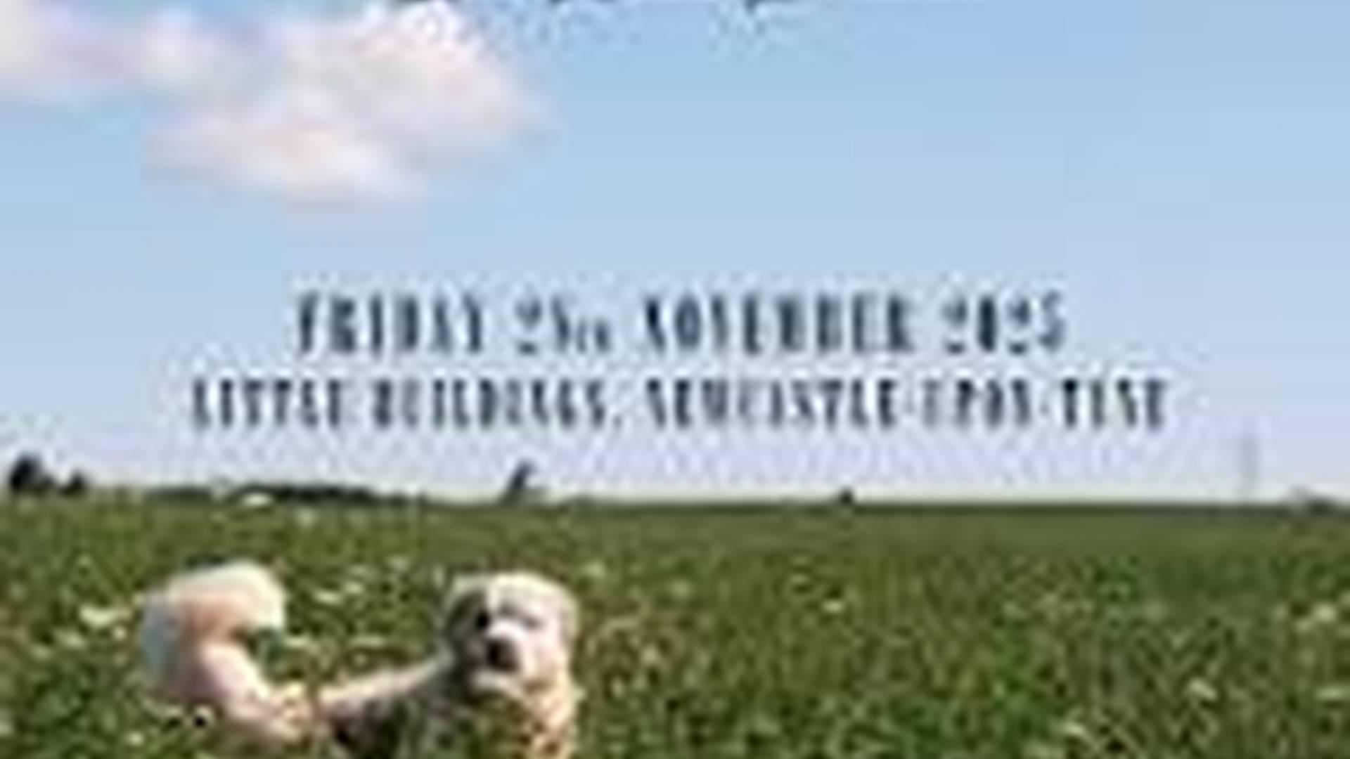 Goodnight Kid plus support TBA photo