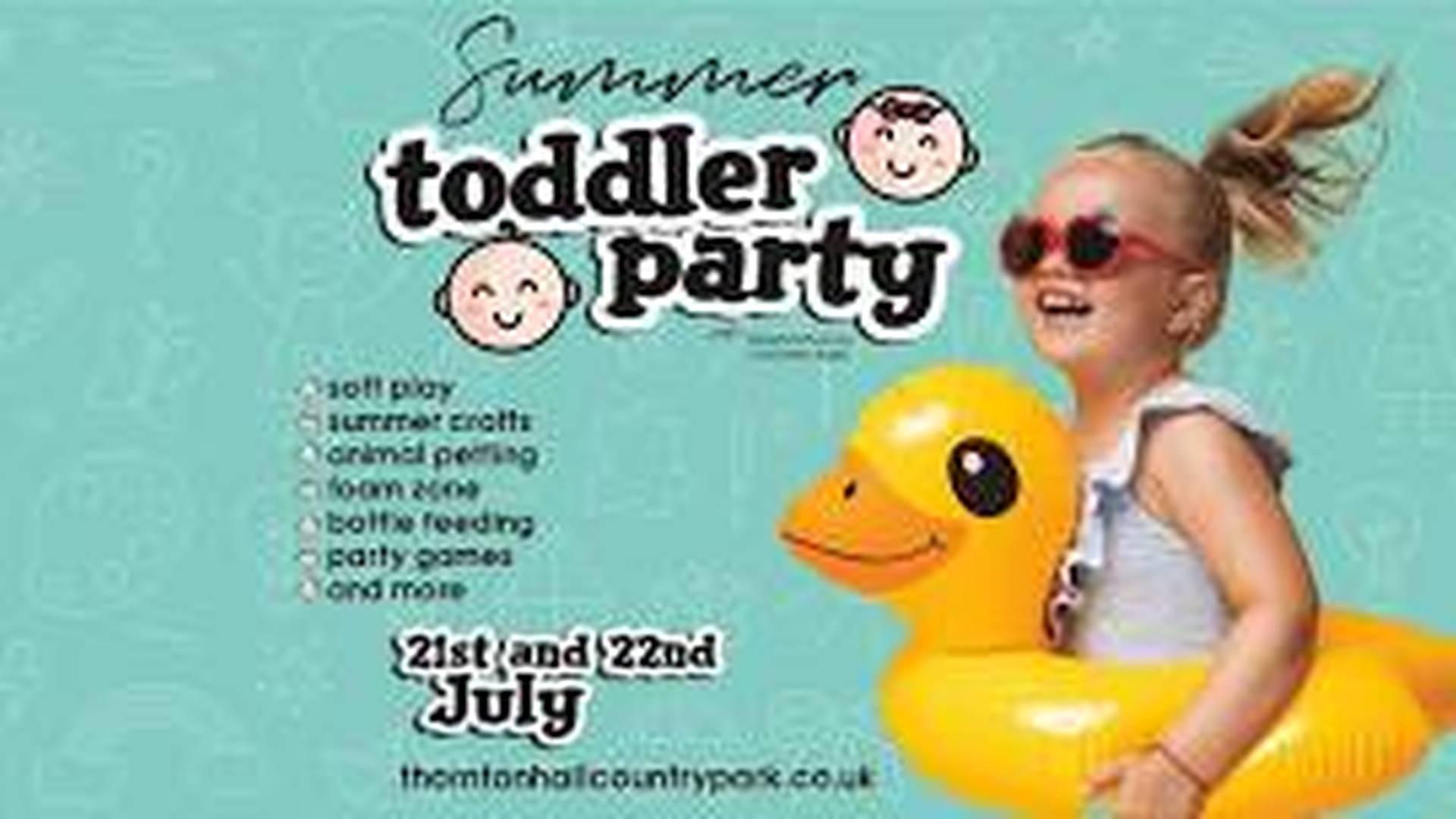 Summer Toddler Party photo