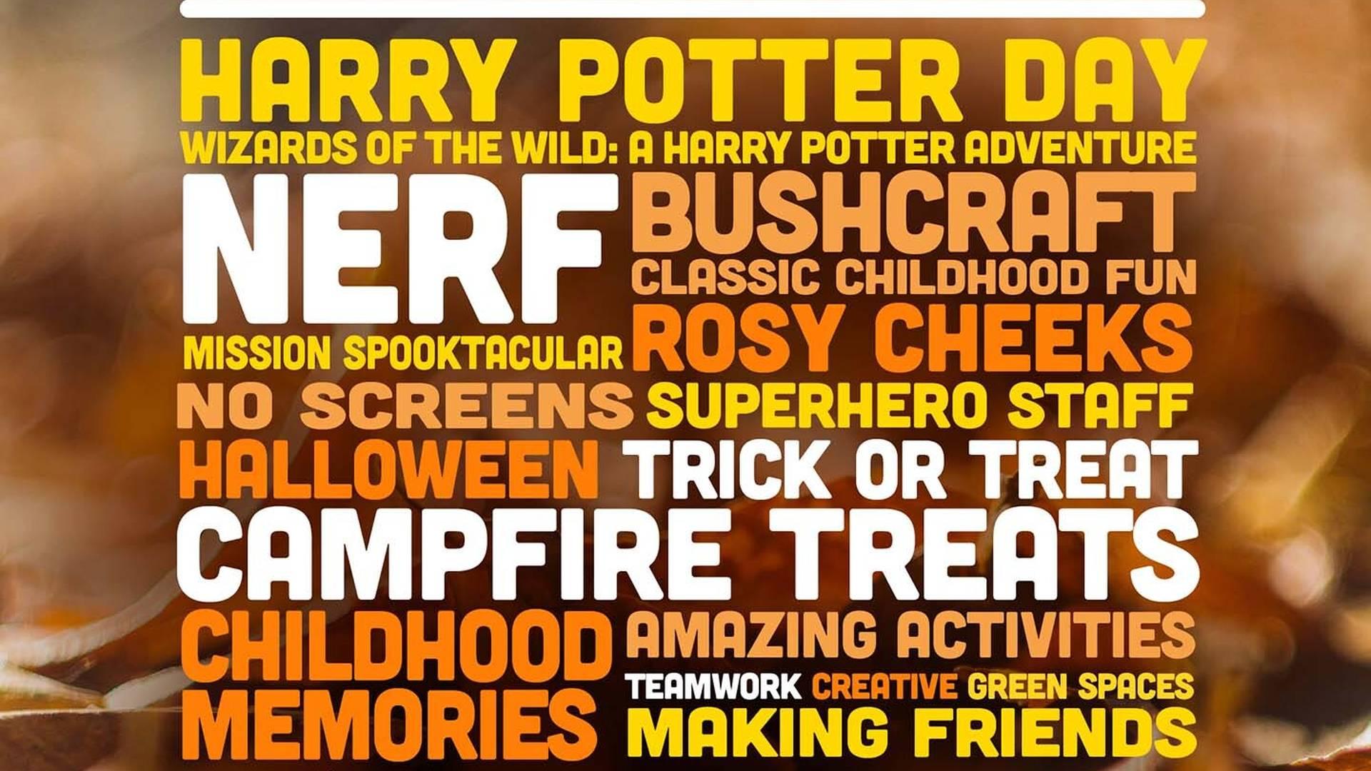 The Outdoors Project October Half Term Holiday Clubs | Kids Outdoor Adventures & Games photo