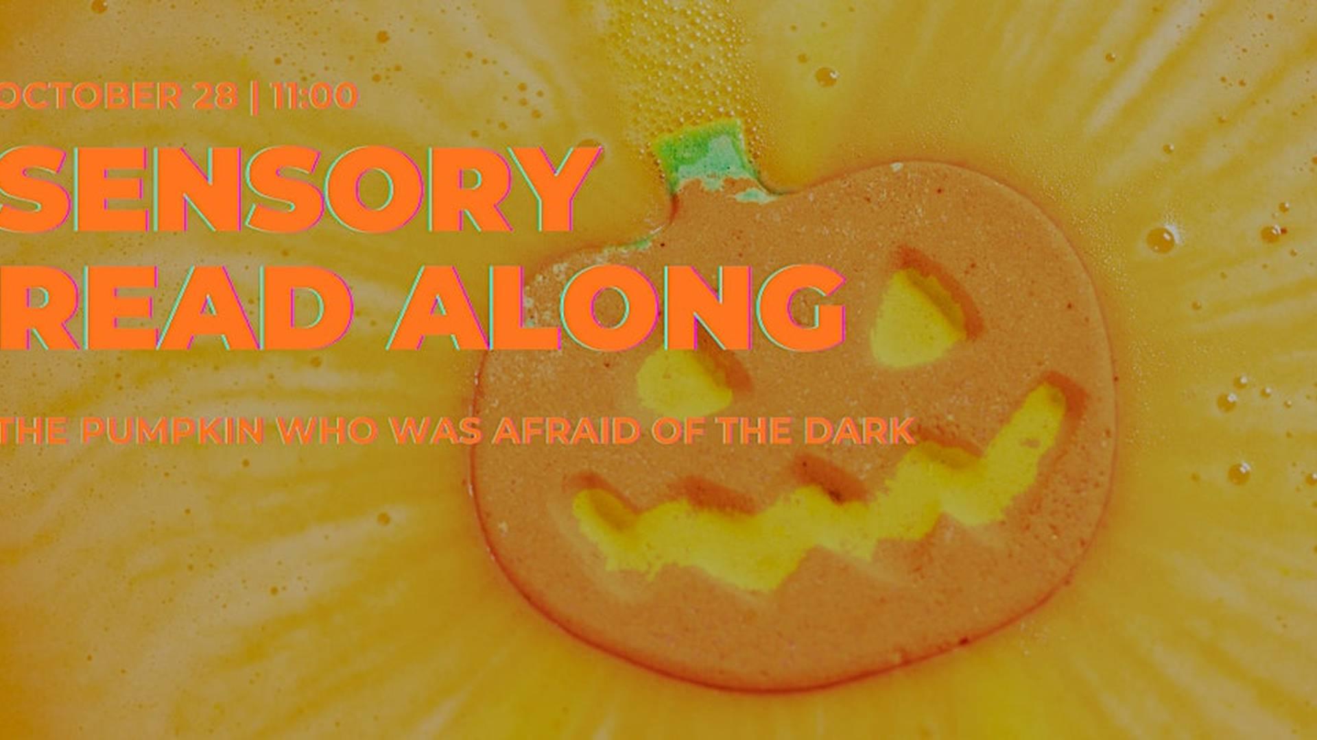 The Pumpkin Who Was Afraid of The Dark Sensory Read Along photo