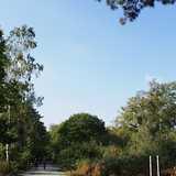 Activity image