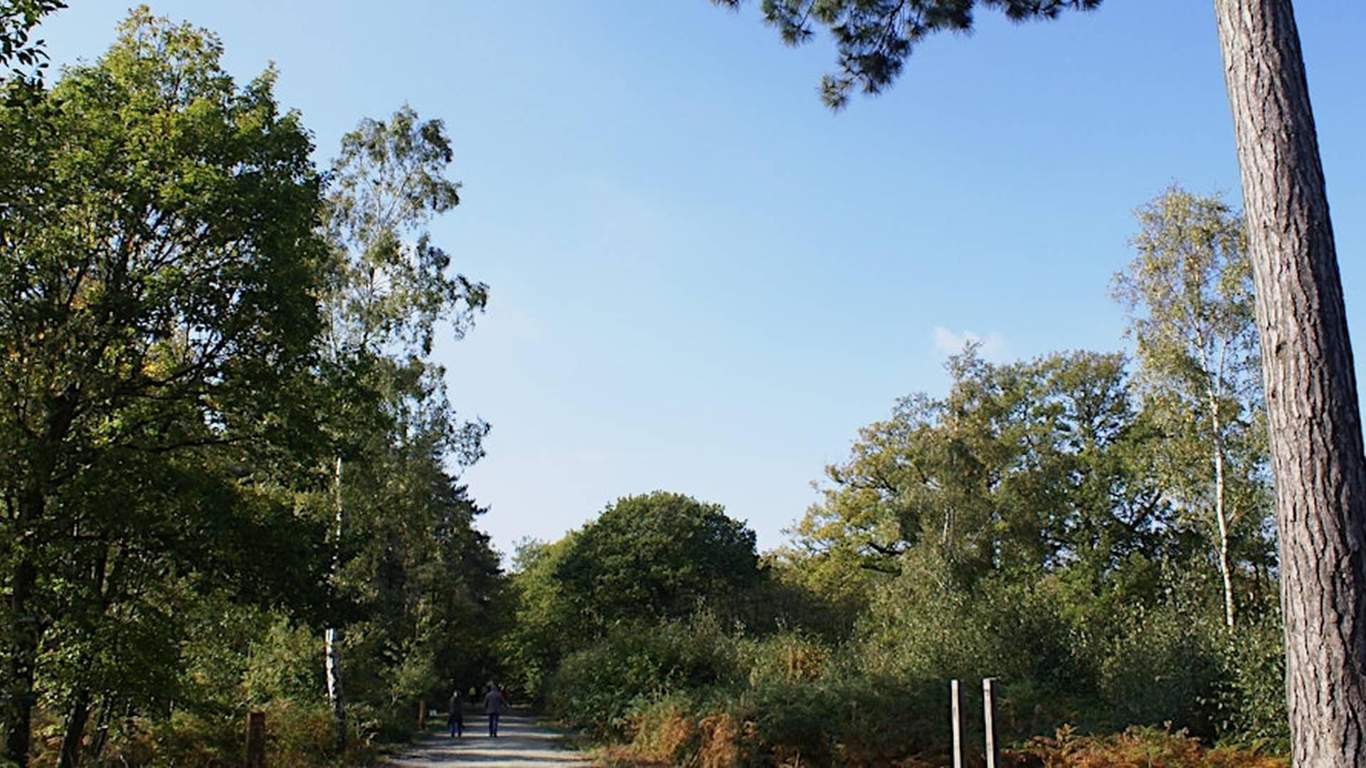 Blean Community Advisory Group  Autumn Meeting photo
