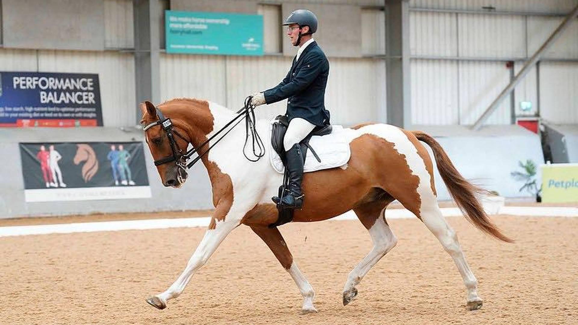 Flatwork With Shaun Malpass photo