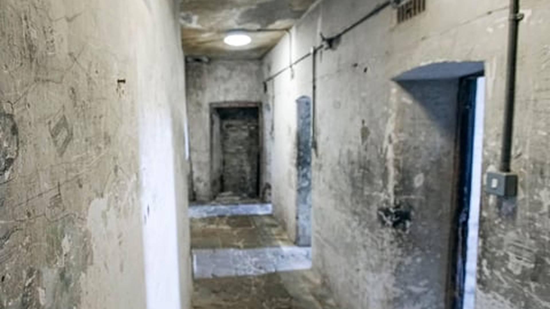 Members' Week: photo