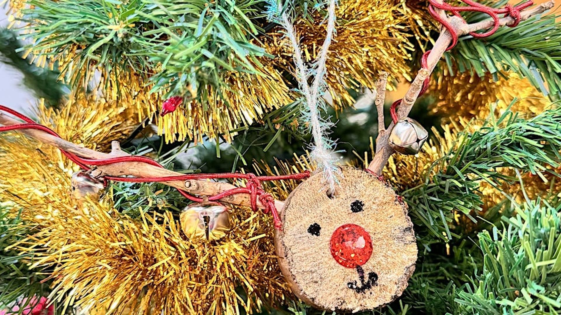 Christmas Forest School Celebration photo