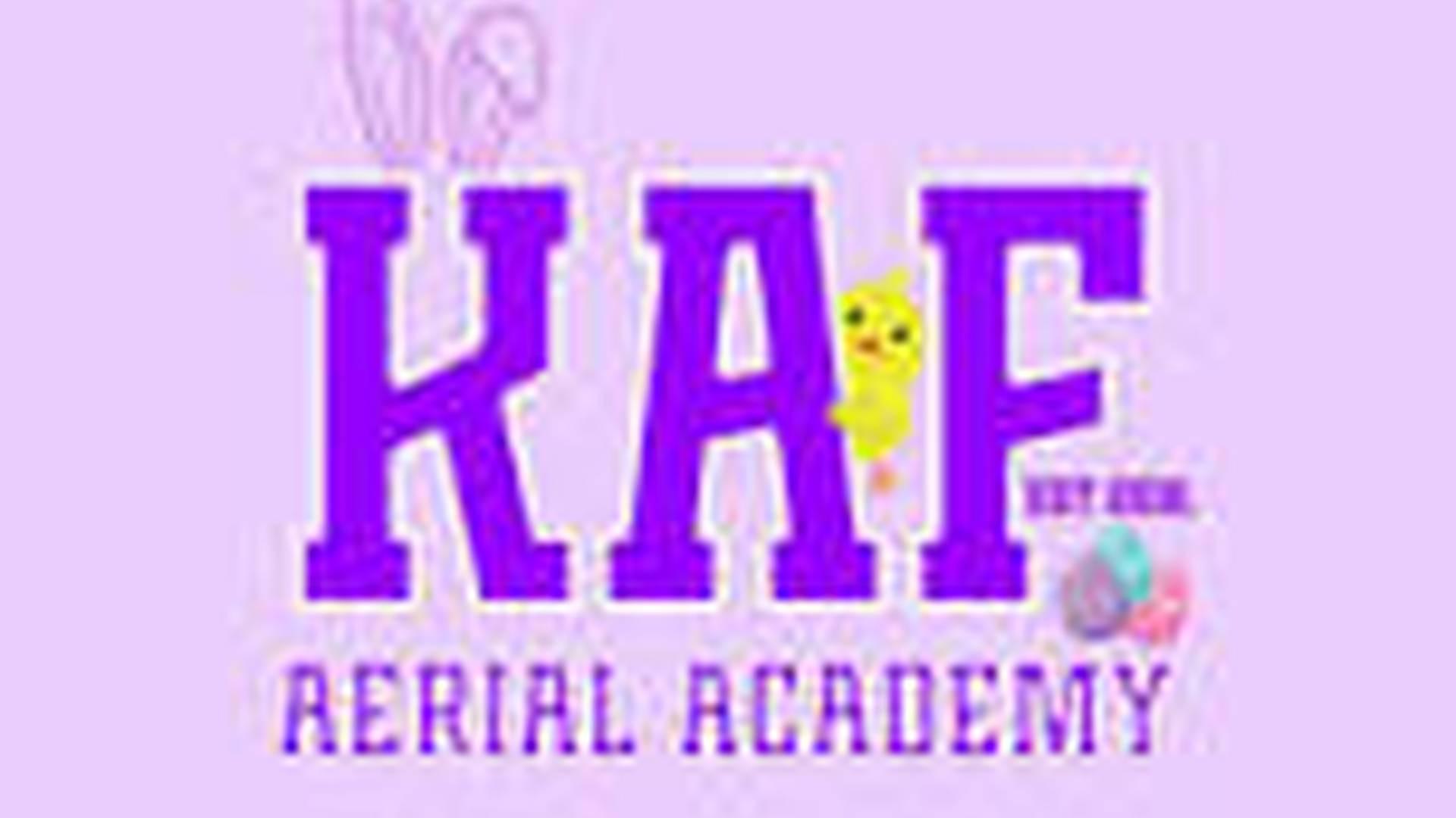 Kids Intermediate/Advance Hoop or Silks Class photo