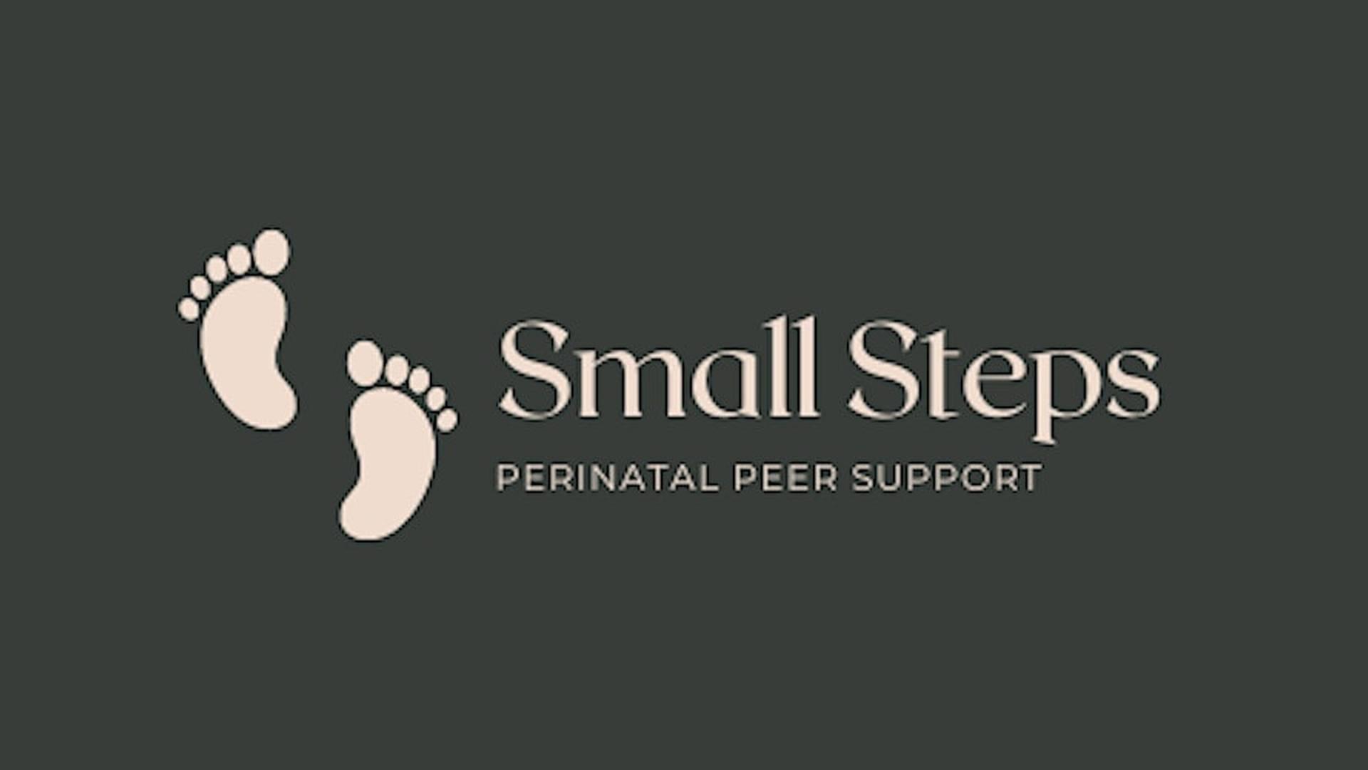 Perinatal Well-being - Small Steps photo