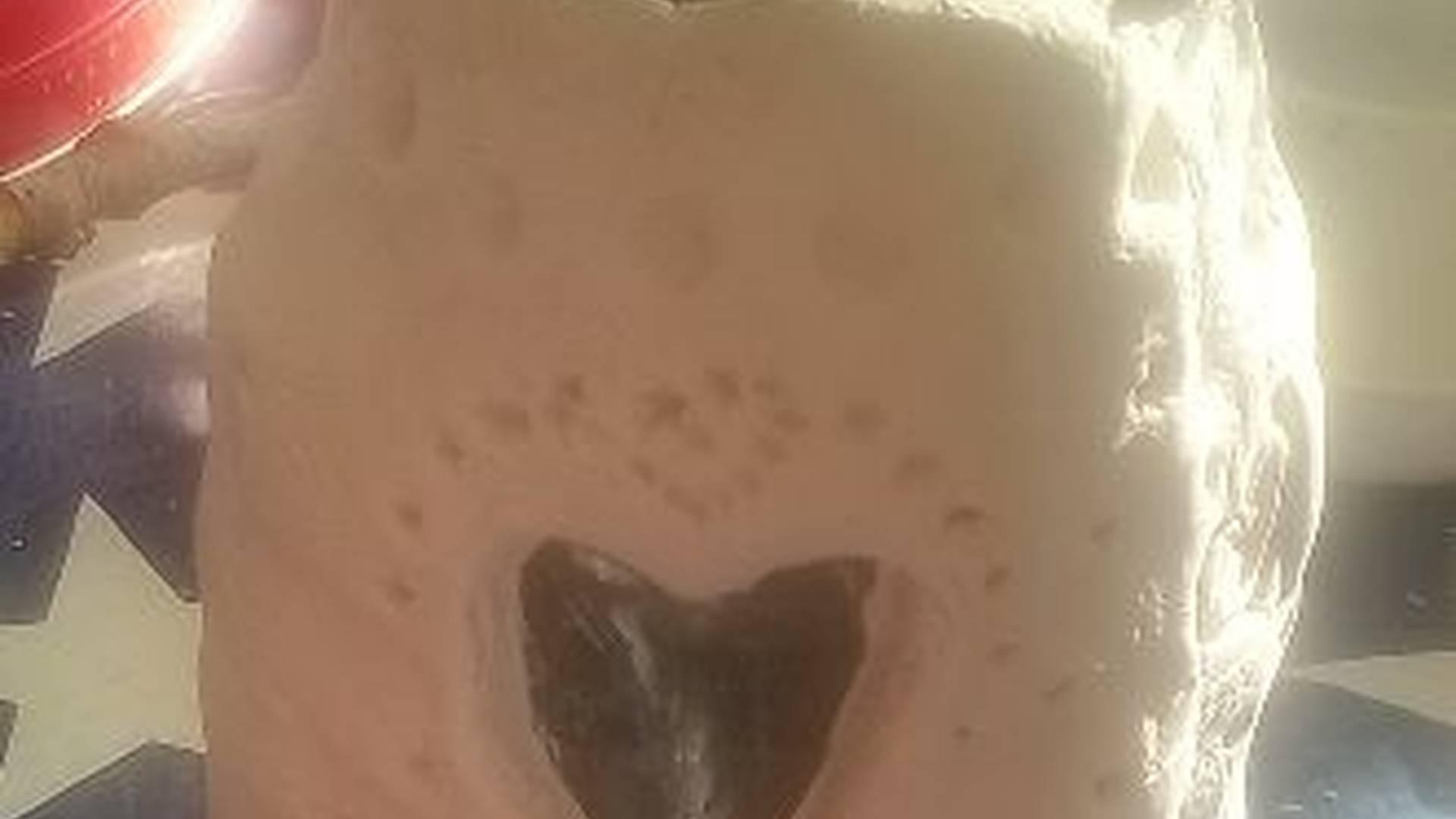 Mims Clay Club photo