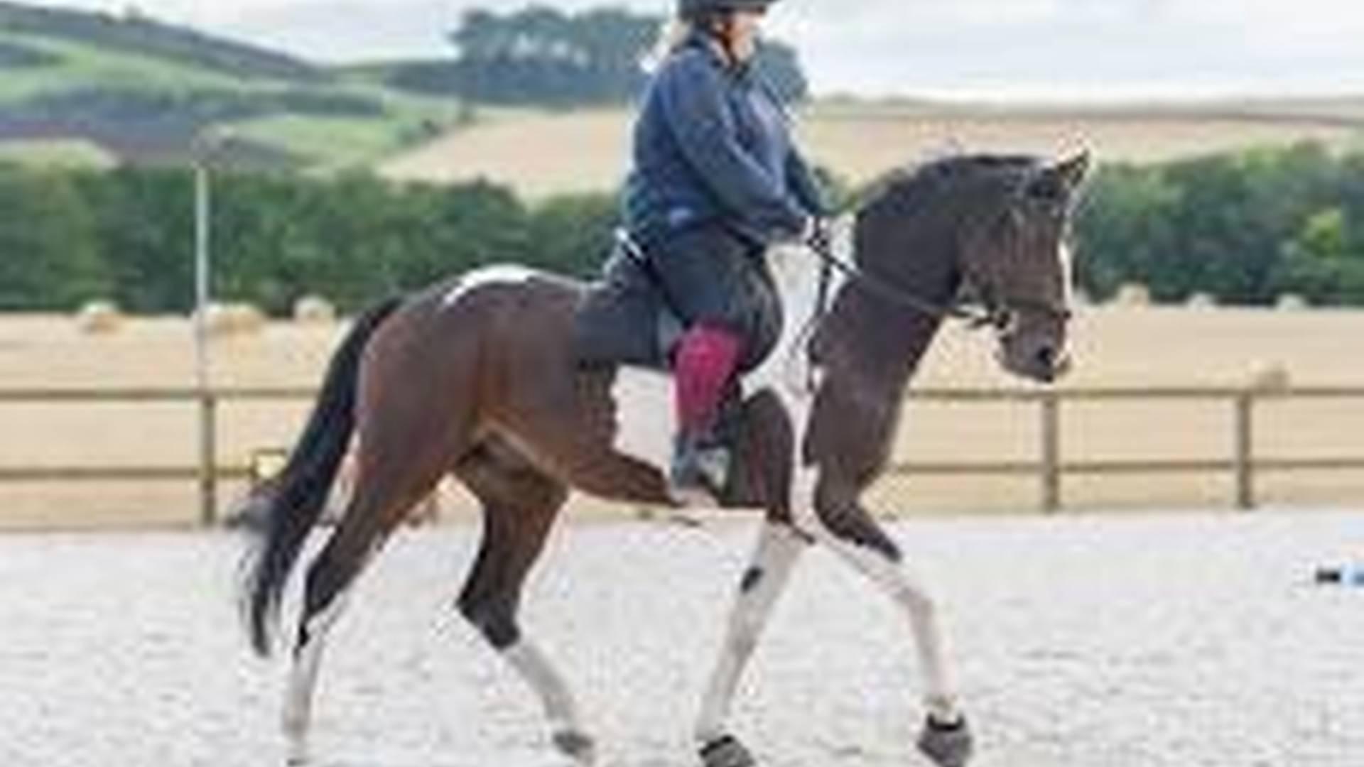 Novice & Nervous Day Camp photo