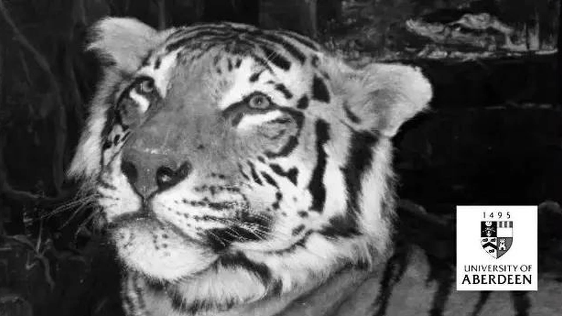 Young Artists At The Zoology Museum photo