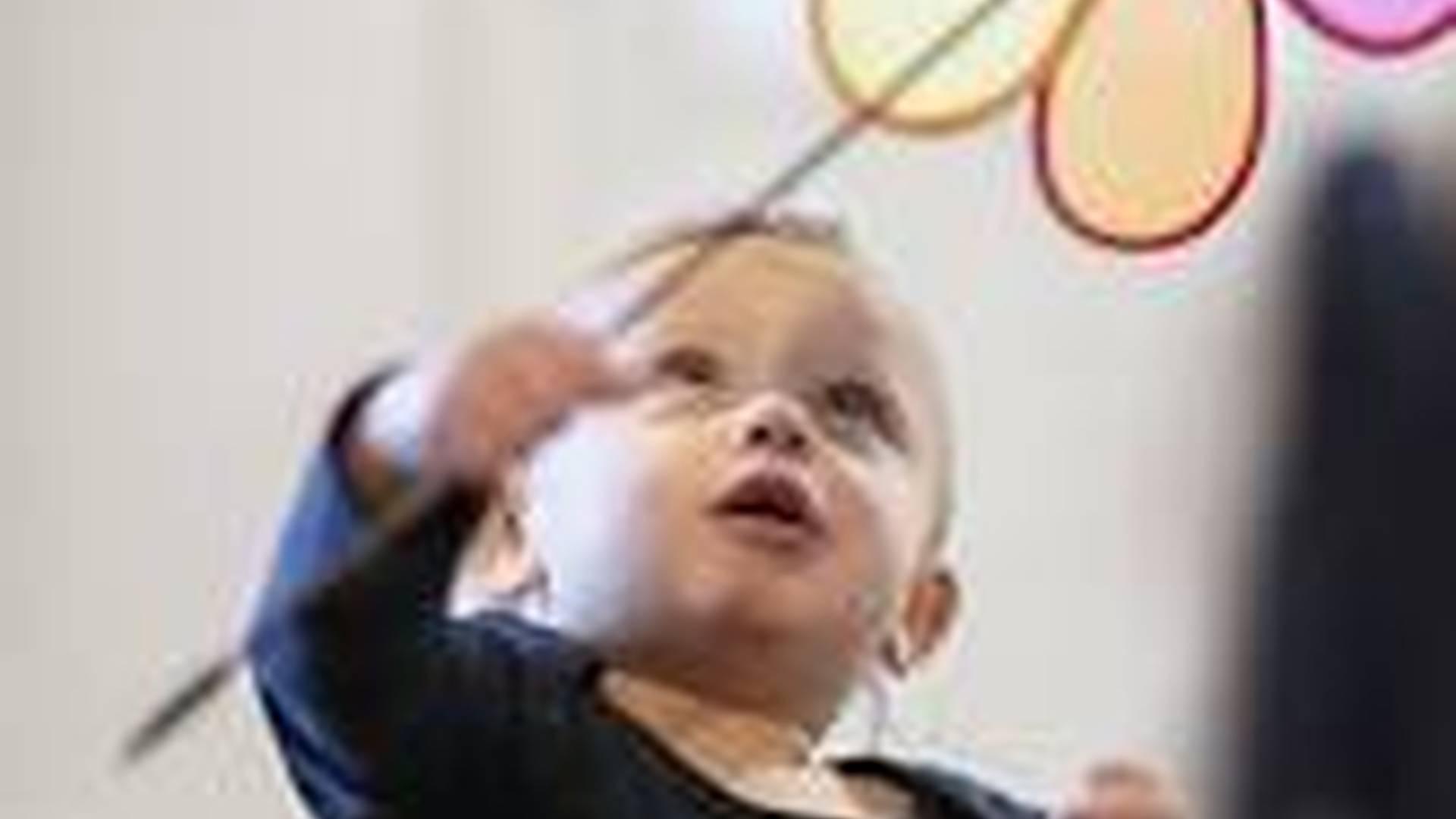 Seeing the whole child: Decode the signals, respond with confidence and help every child to thrive photo
