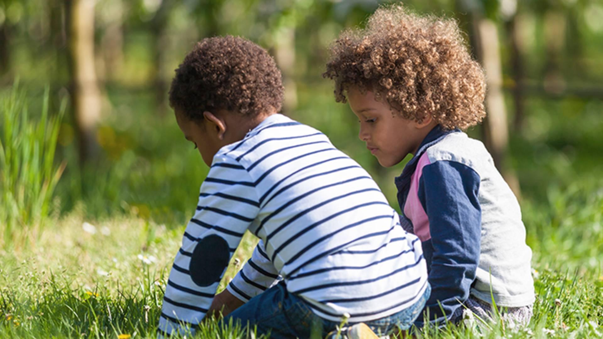 Seedlings Well Being photo