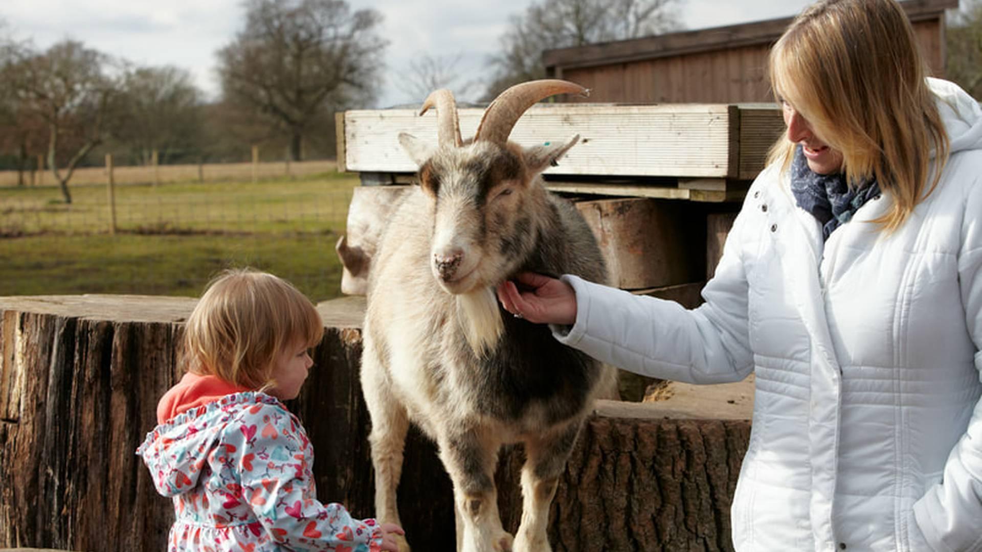 Aldingbourne Country Centre photo
