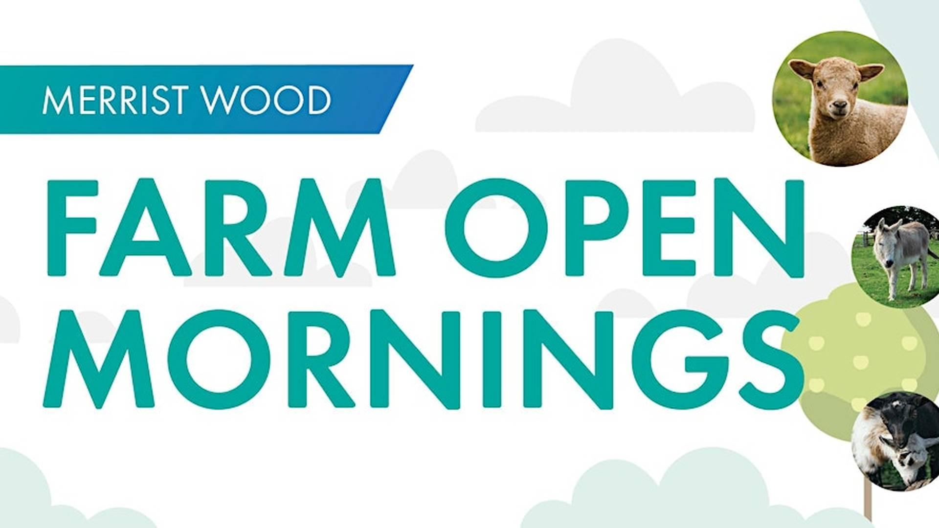 Merrist Wood Farm Open Mornings. photo