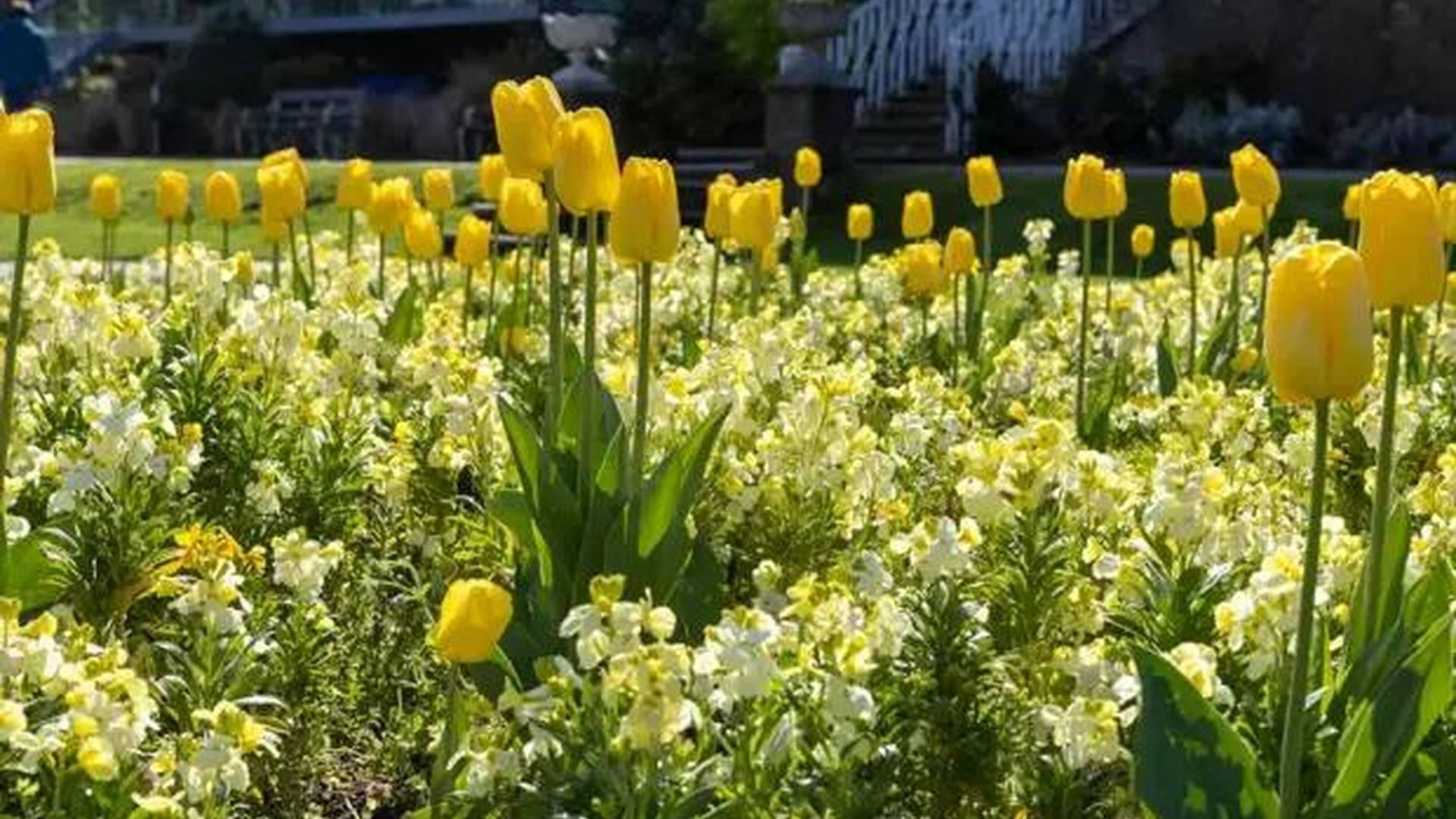 William Morris Gallery Easter Family Trail photo