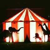 Activity image
