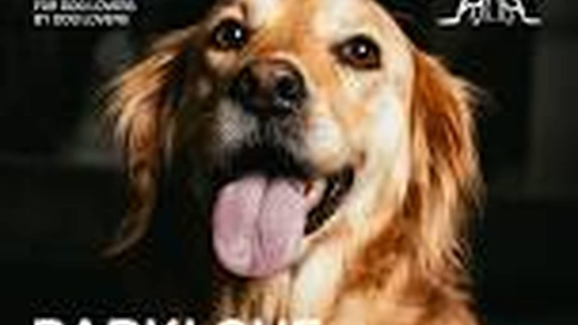 Barklove photo
