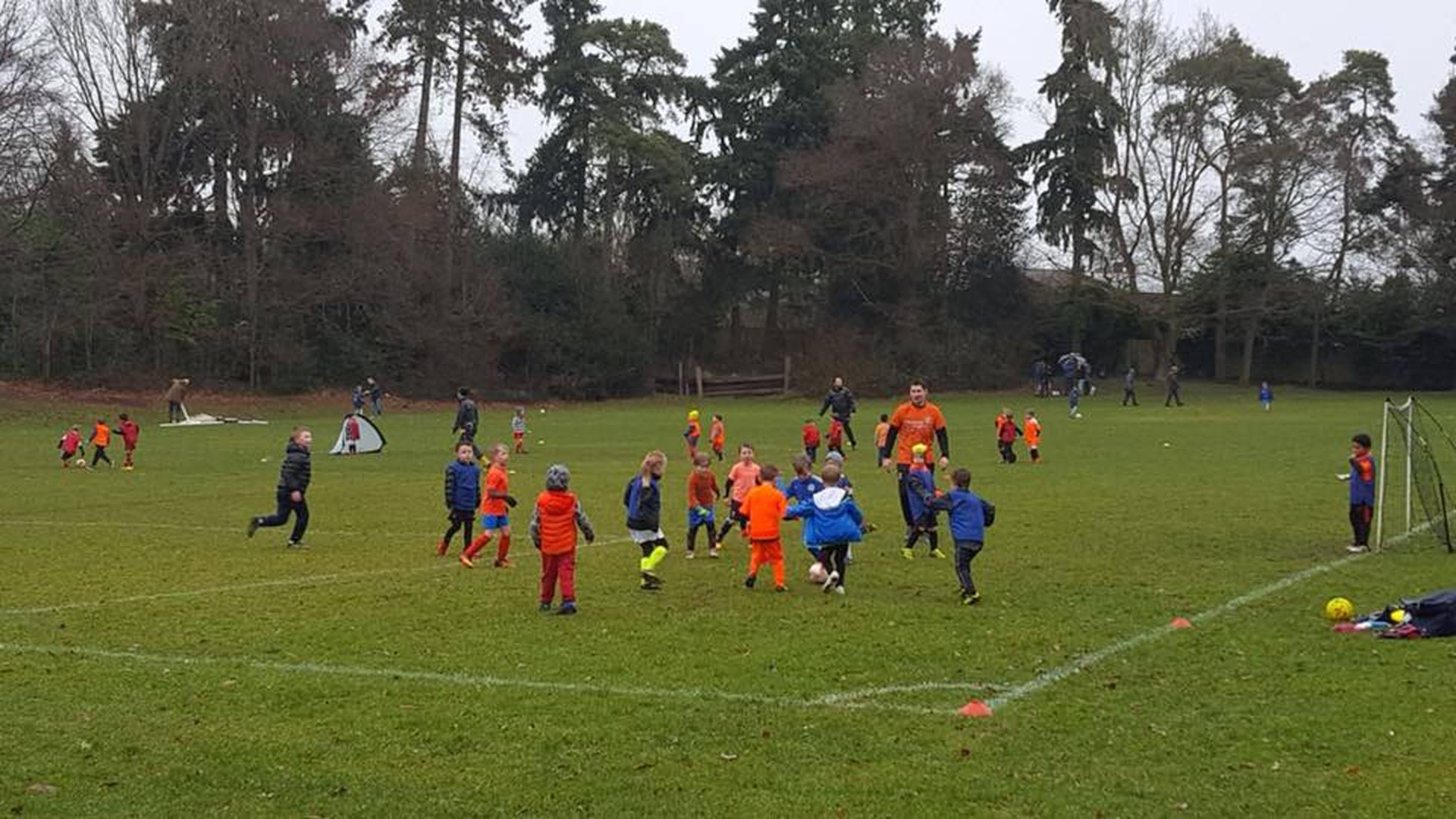 Farnham Town FC Youth photo