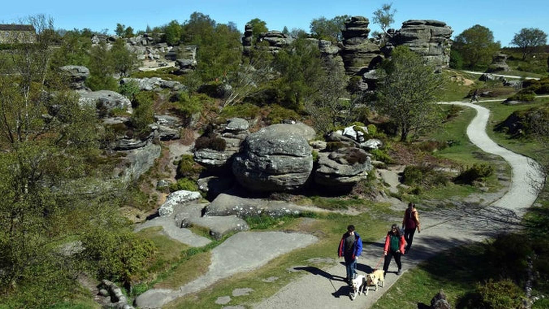 Guided social walk photo