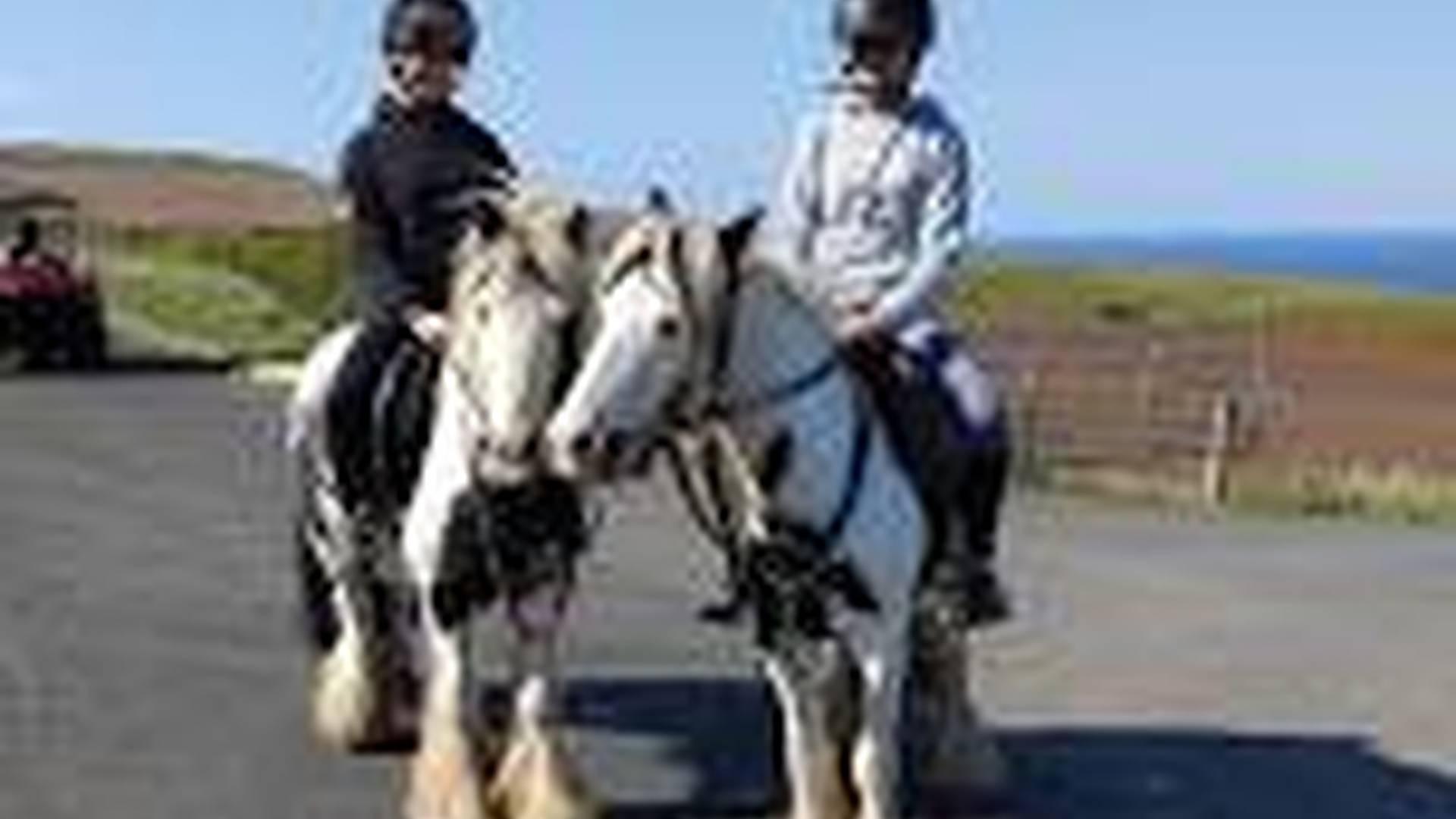 Pony Days Are Back photo