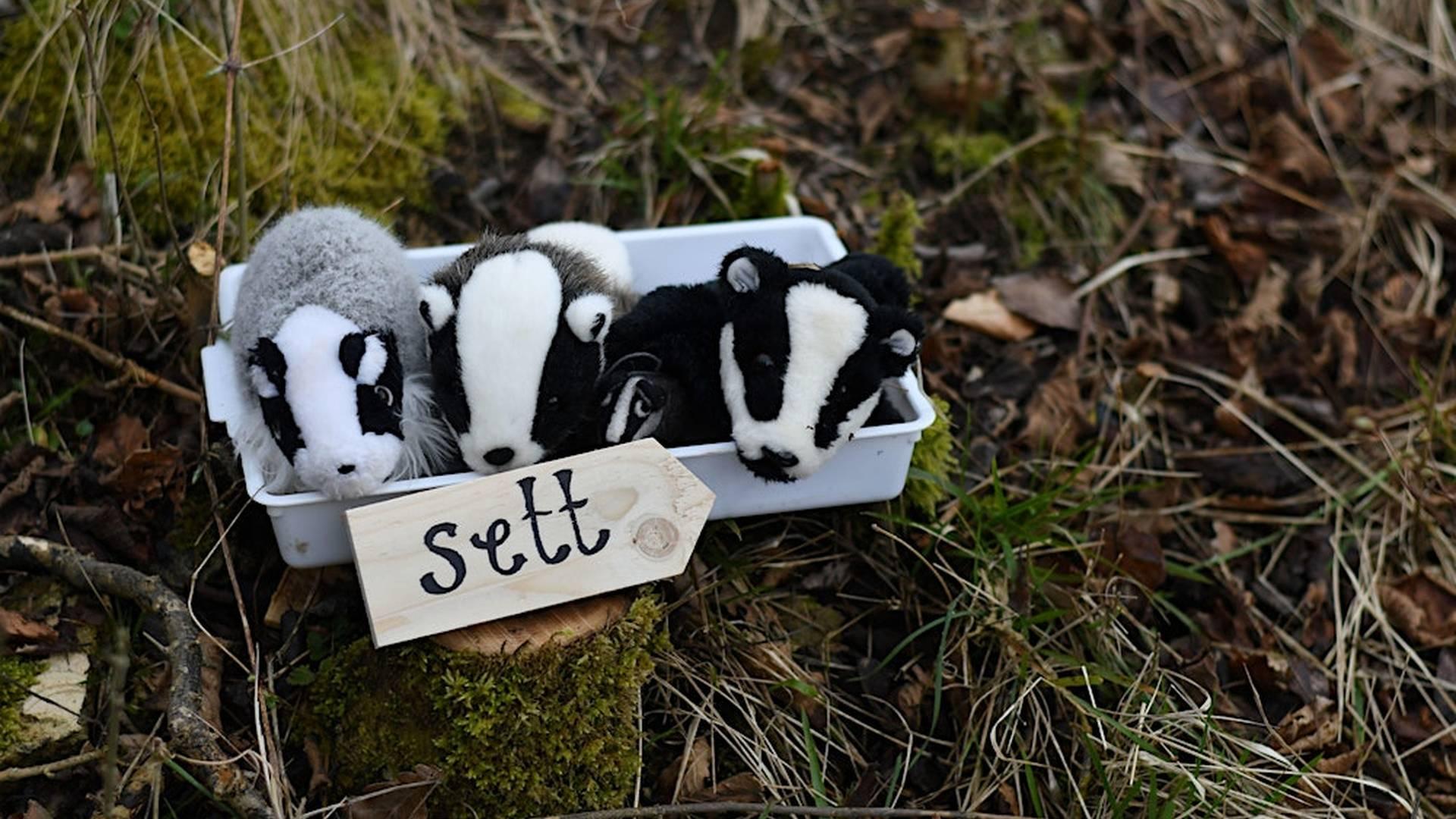 Nature Tots in the Forest of Dean photo