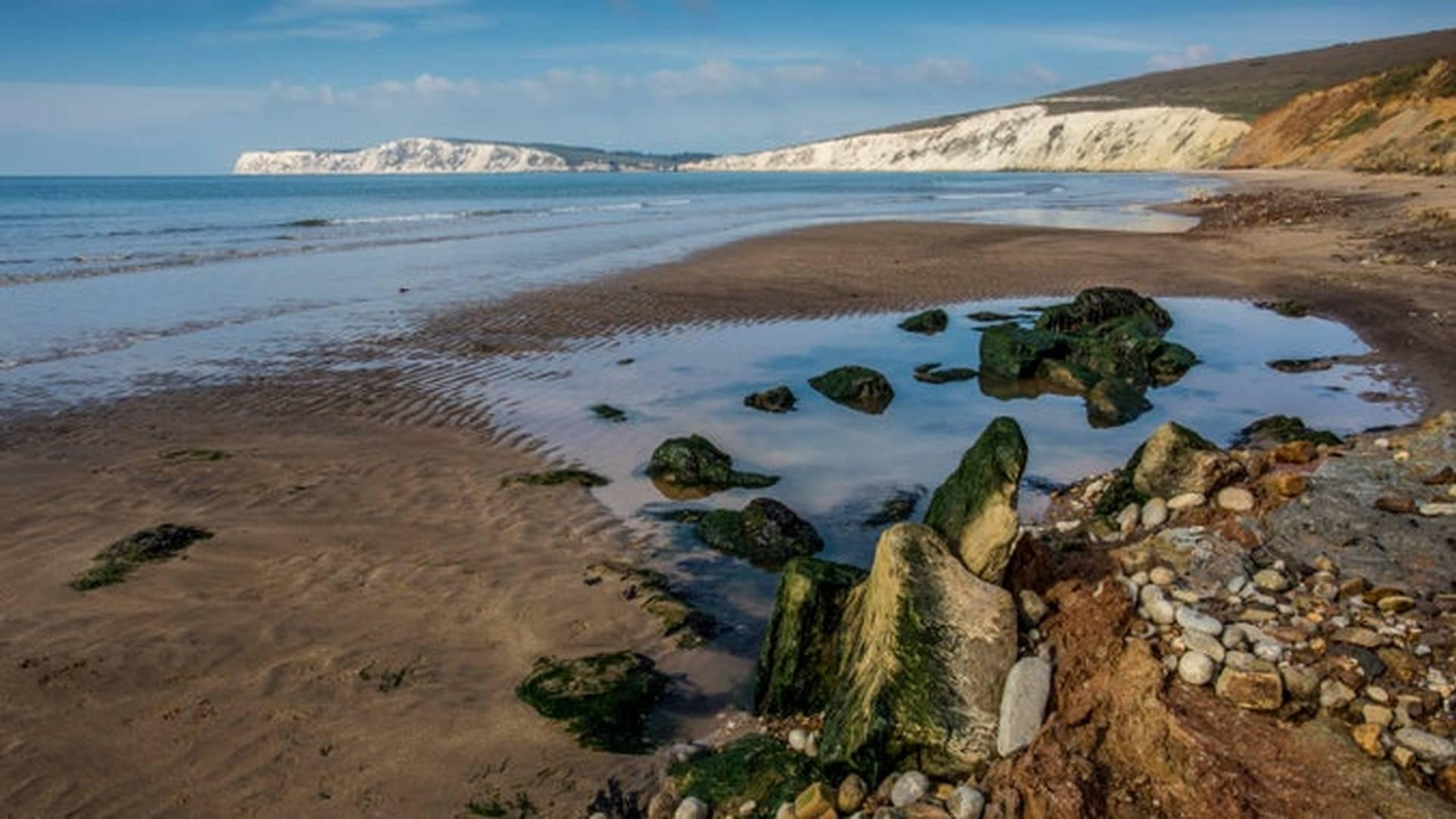 Compton Bay Fossil Walks photo